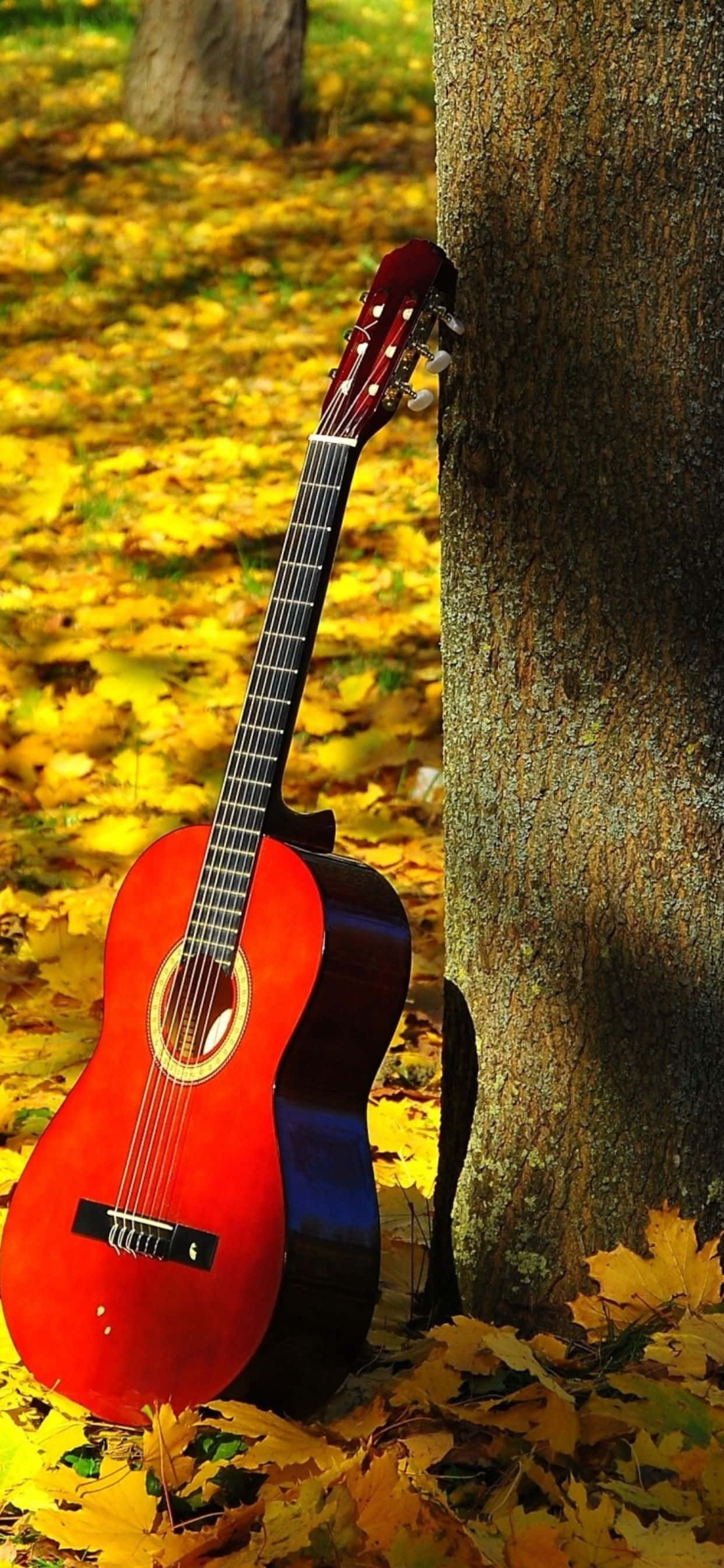 Kumbatia rangi na vibes za Autumn na iPhone Xs Max Picha ya Ukuta