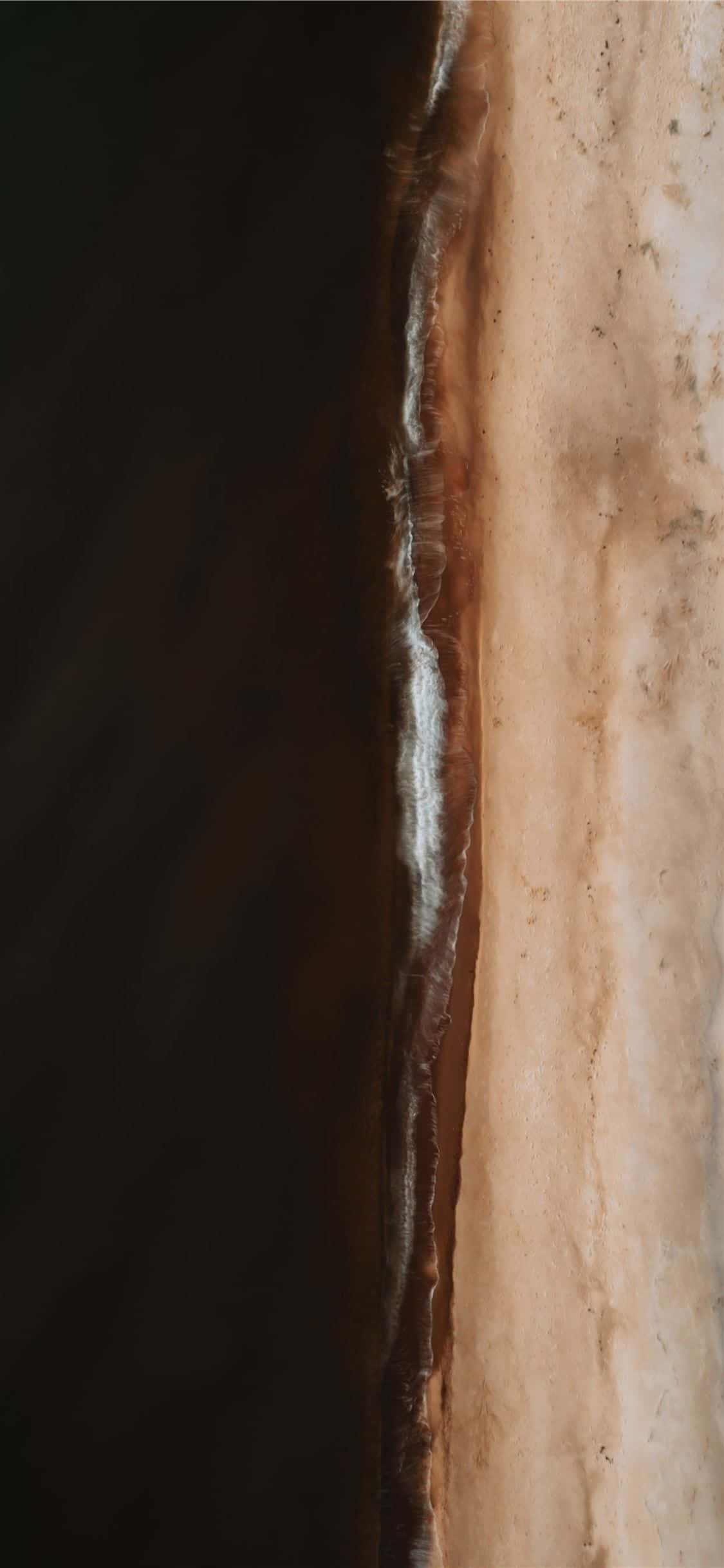 Enjoy the warmth of brown and white contrasted wallpaper to suit your home décor Picha ya Ukuta