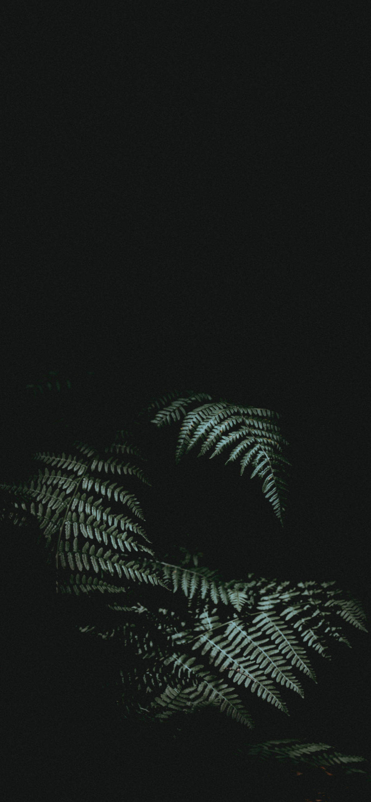 Experience nature and modern technology through this unique combination of an iPhone and a potted plant. Picha ya Ukuta