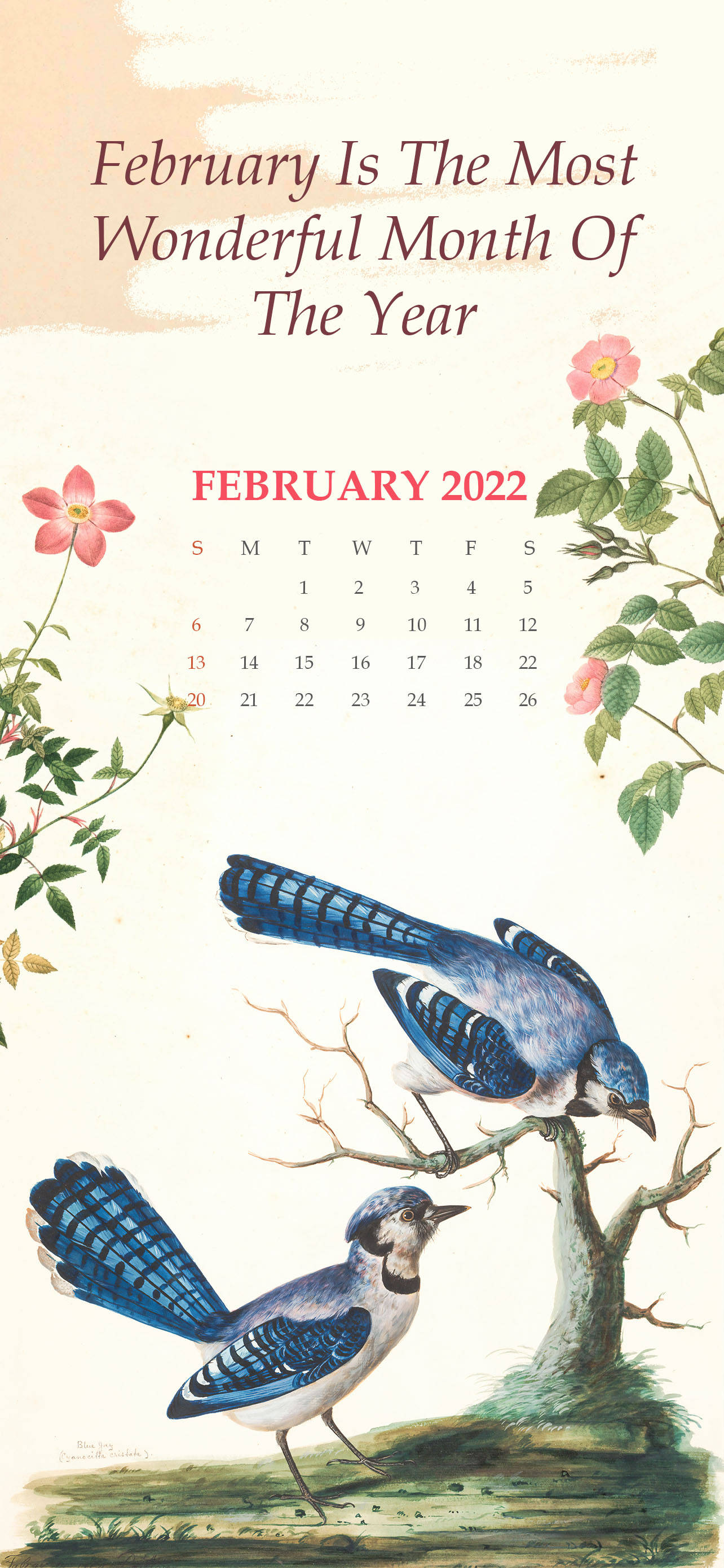 February 2022 Calendar With Blue Birds Picha ya Ukuta