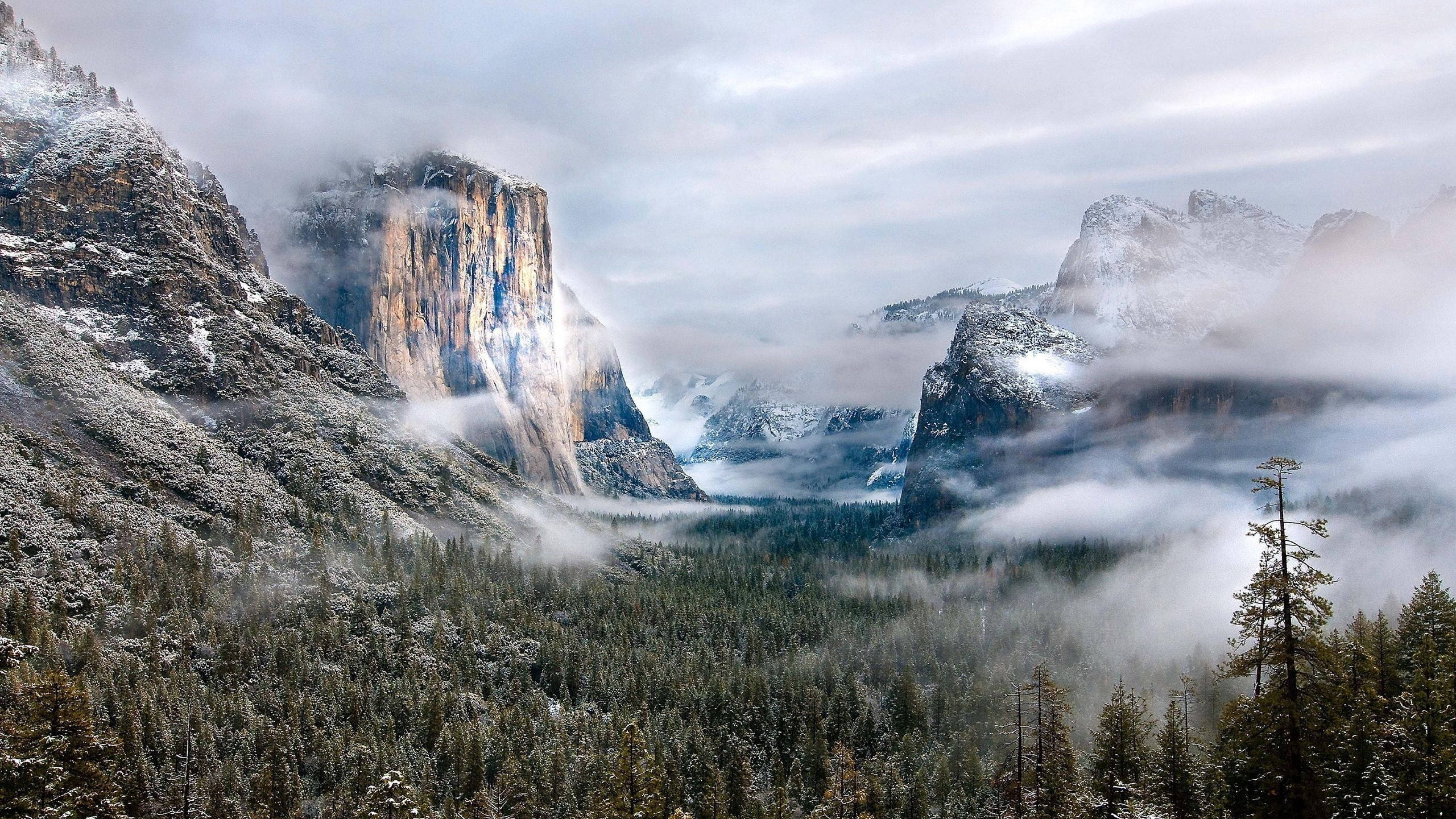 Foggy Scenic Landscape Picha ya Ukuta