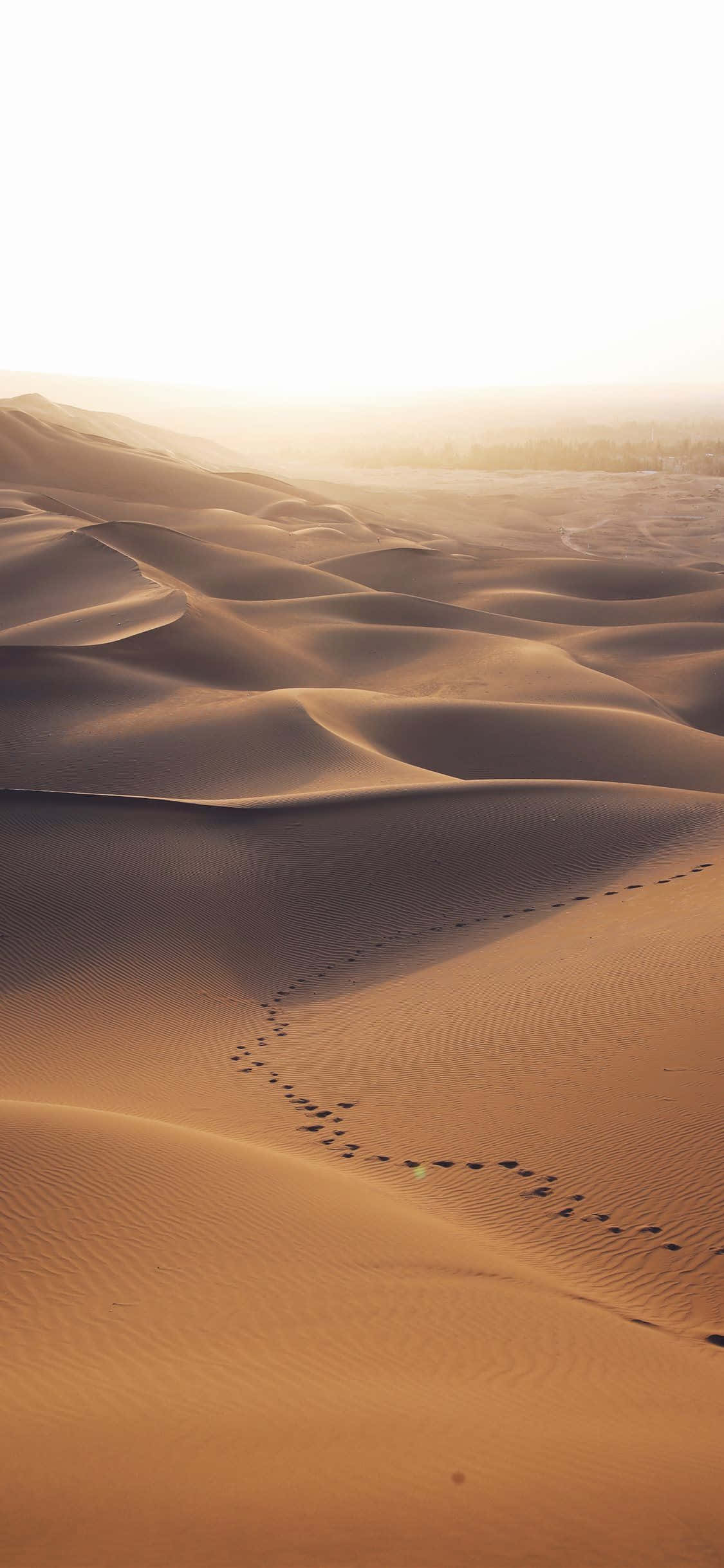 Footprints On The Sand Of Desert iPhone Picha ya Ukuta