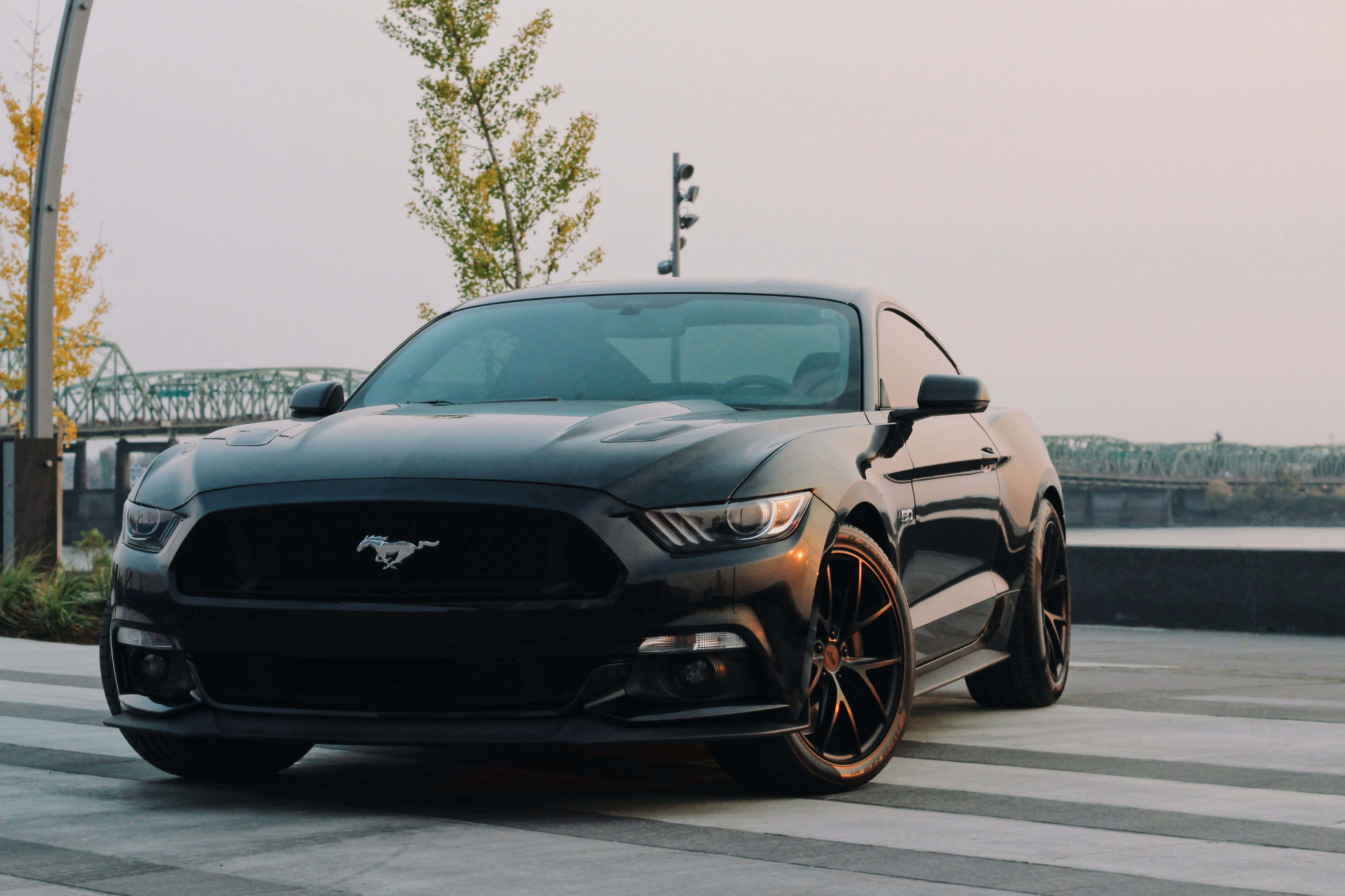 Ford Mustang nyeusi iliyoegea barabarani Picha ya Ukuta