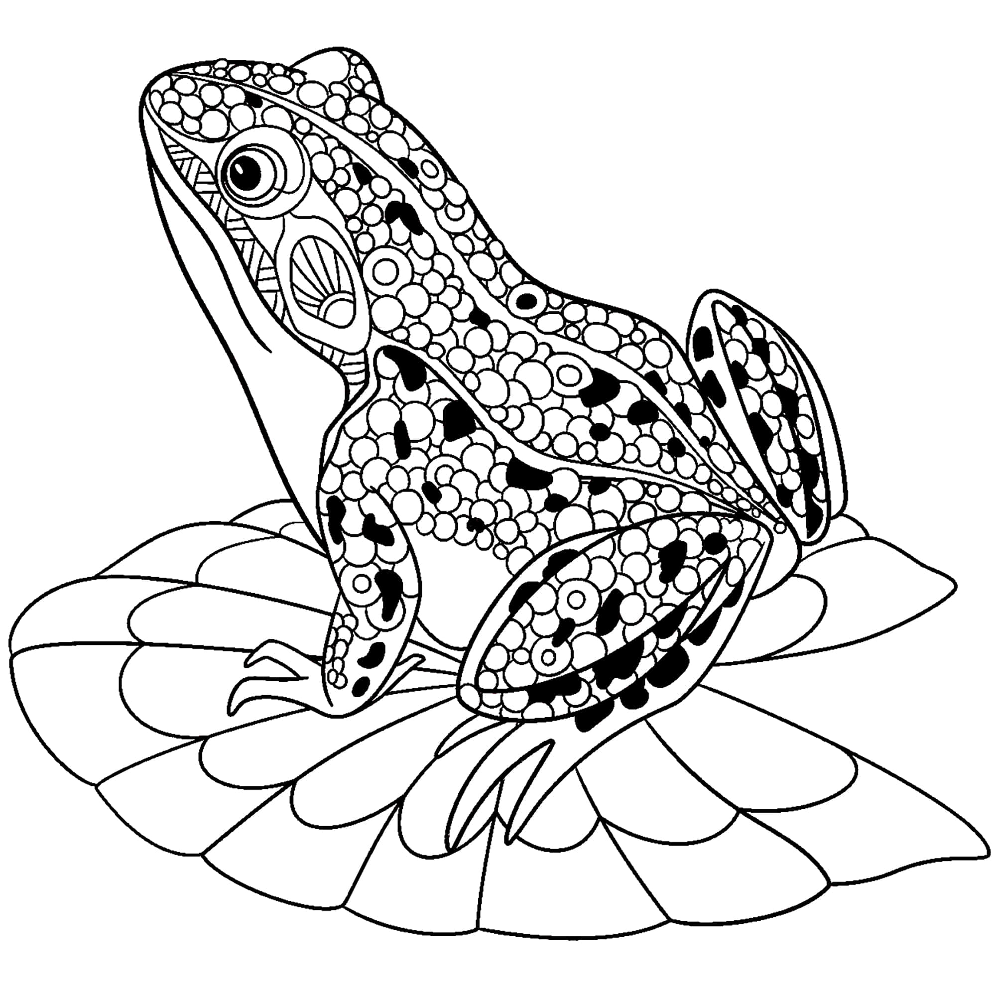 Frog handdrawn wa kucheza Picha ya Ukuta