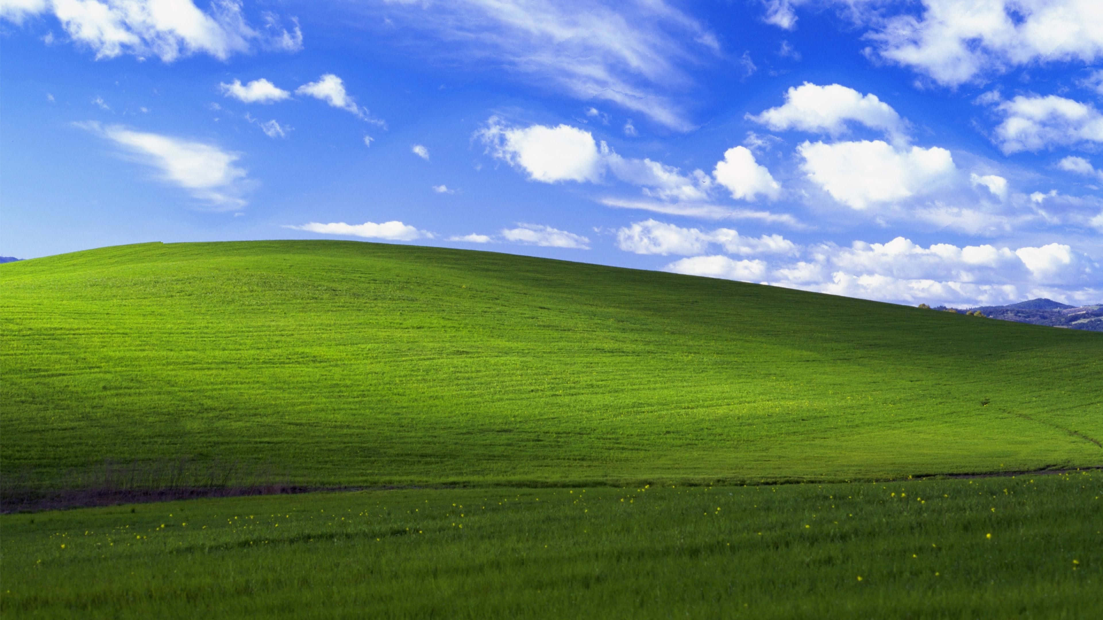 Furaha Tamanifu Windows 1 Picha ya Ukuta