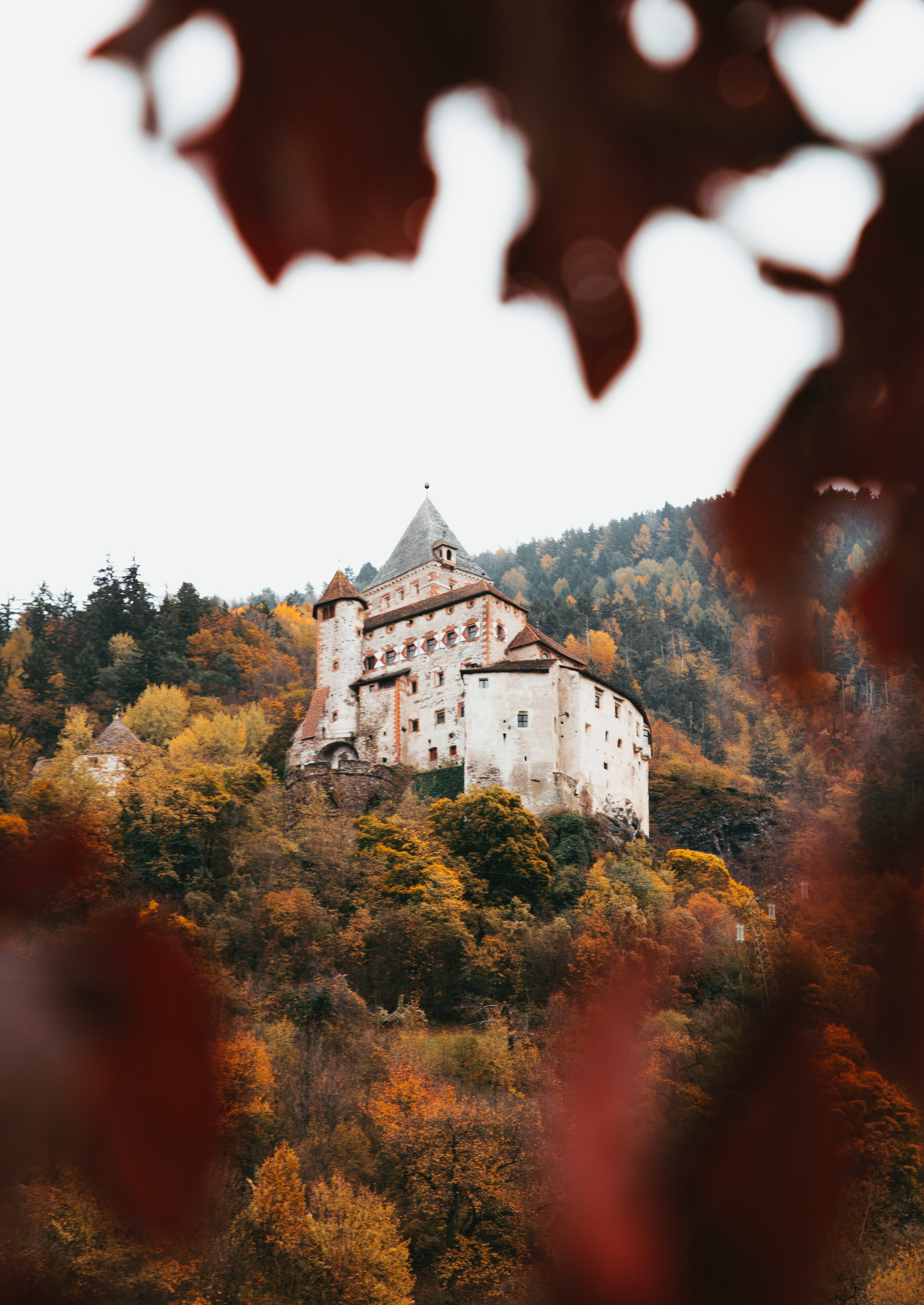 Explore the serenity of the rolling hills and lush forests of this medieval castle. Picha ya Ukuta
