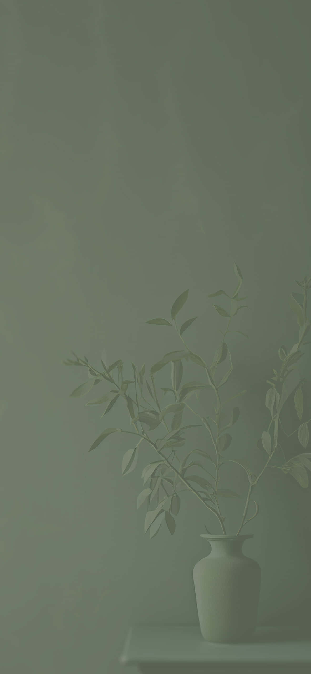 Gentle Calm of Sage Green Background Picha ya Ukuta
