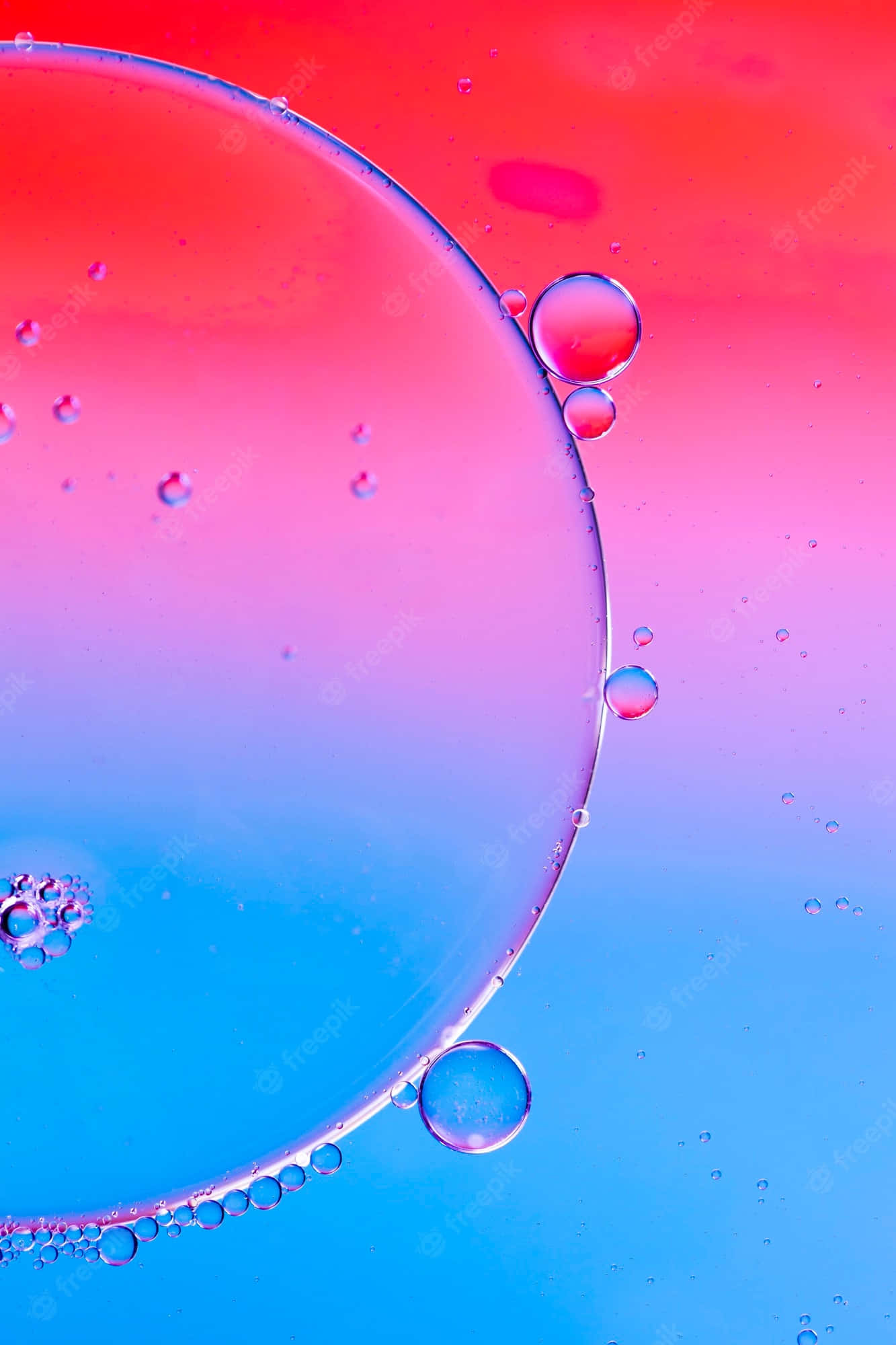 Get ready to make conversation and explore the world with Bubbles Phone! Picha ya Ukuta