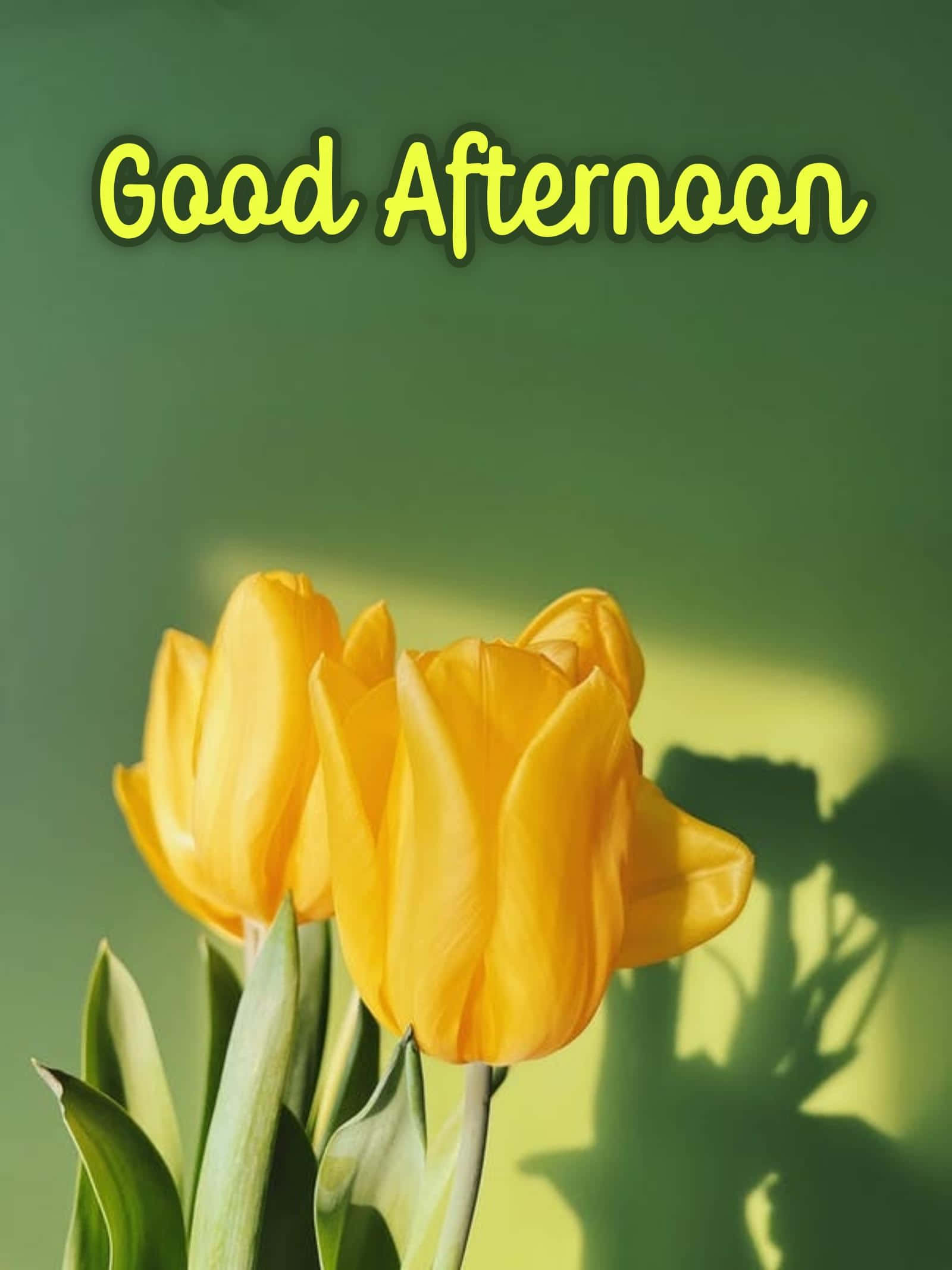 Good Afternoon Spring Yellow Flowers Picture Picha ya Ukuta