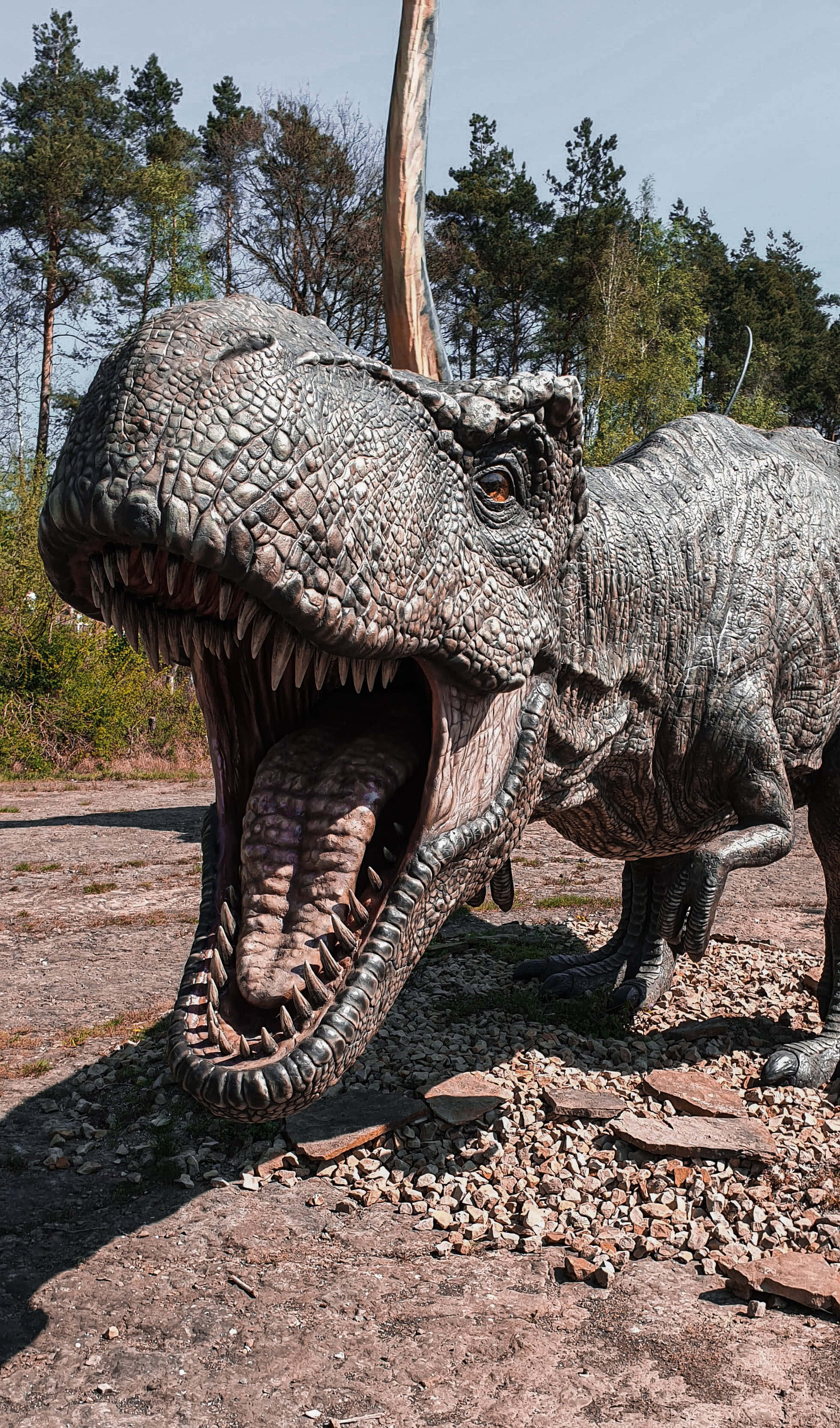 Grandiose View of a Majestic Brachiosaurus Picha ya Ukuta