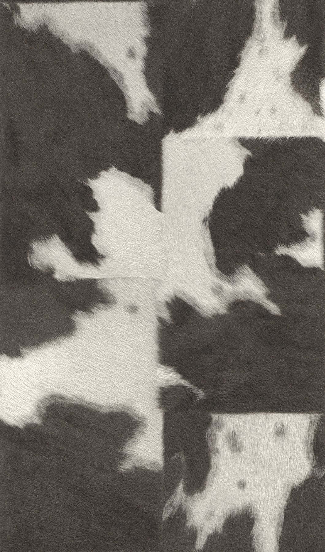 Gray And White Cowhide Background Picha ya Ukuta