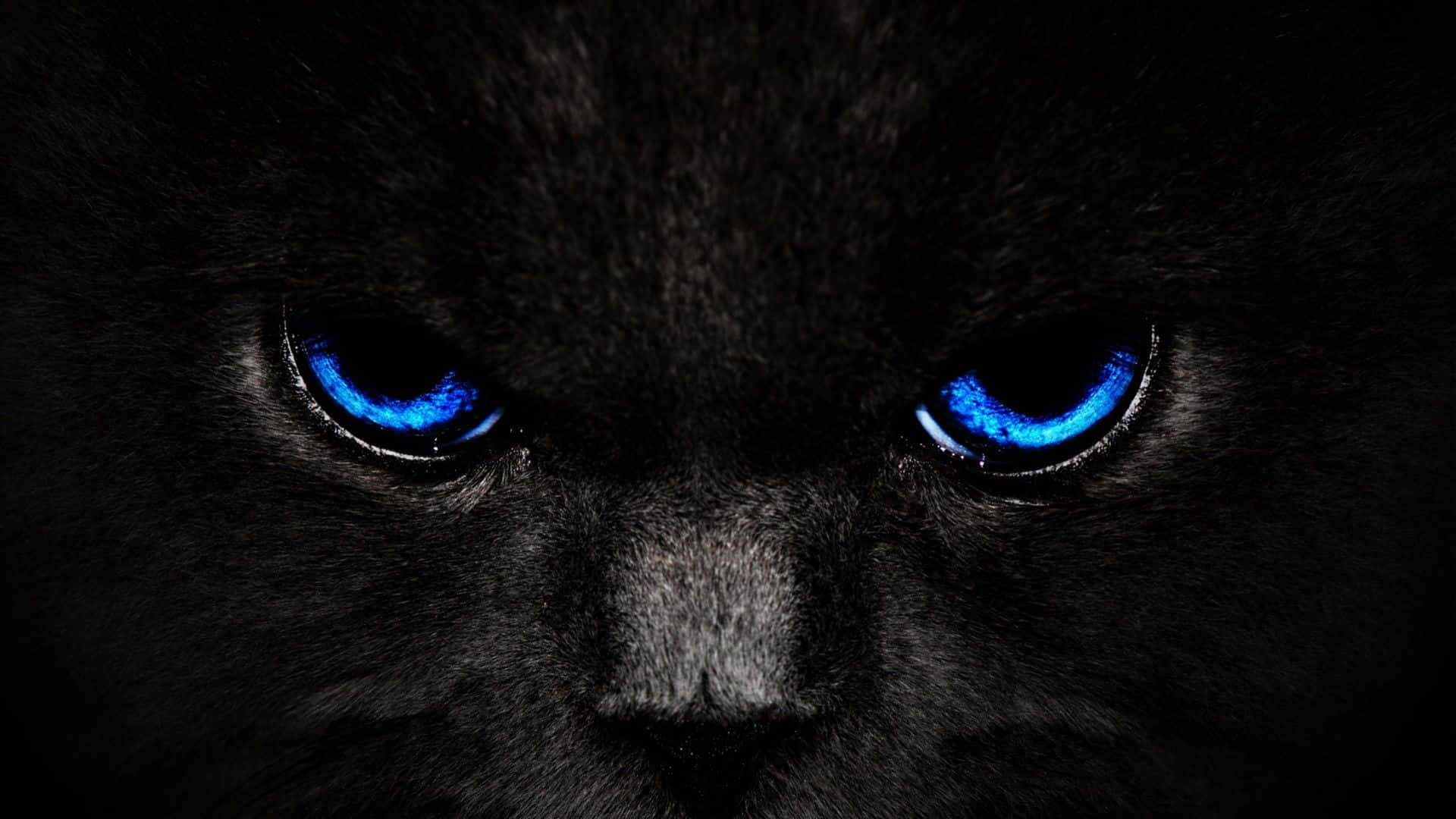 Gundua uzuri na nguvu za Cool Black Picha ya Ukuta