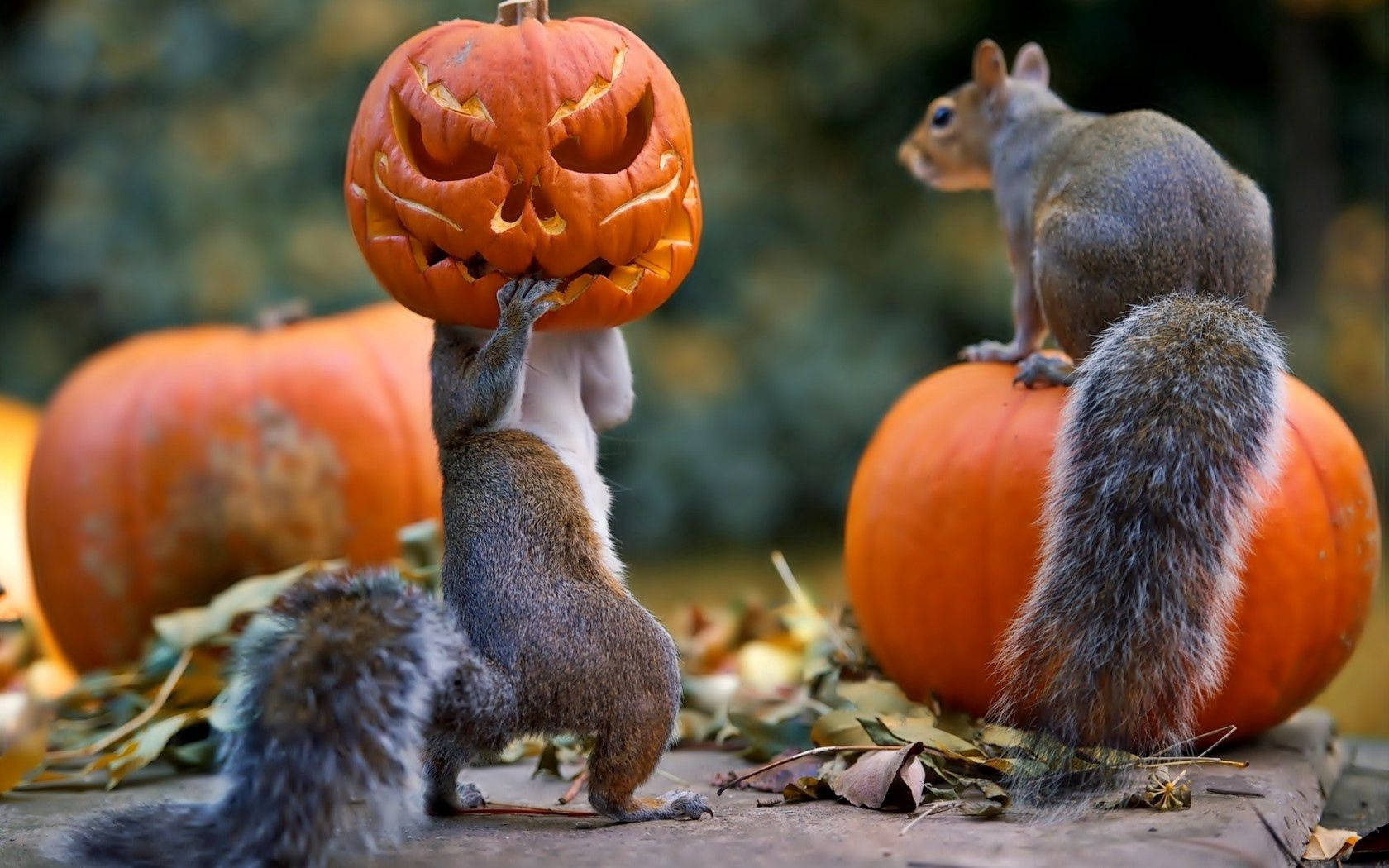 Halloween Njema kutoka kwa kundi hili la kumburu wawili! Picha ya Ukuta