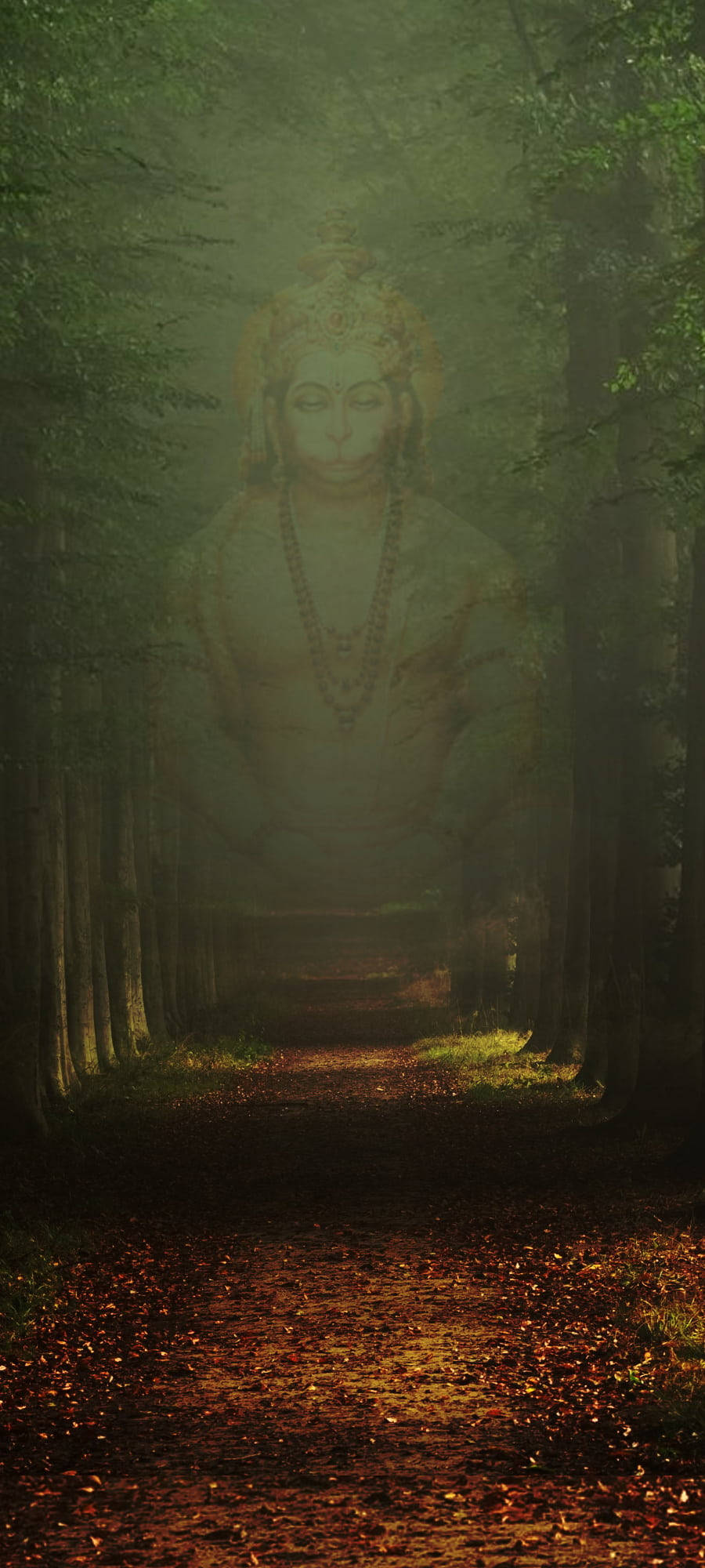 Hanuman Mungu wa Hindi Picha ya Ukuta