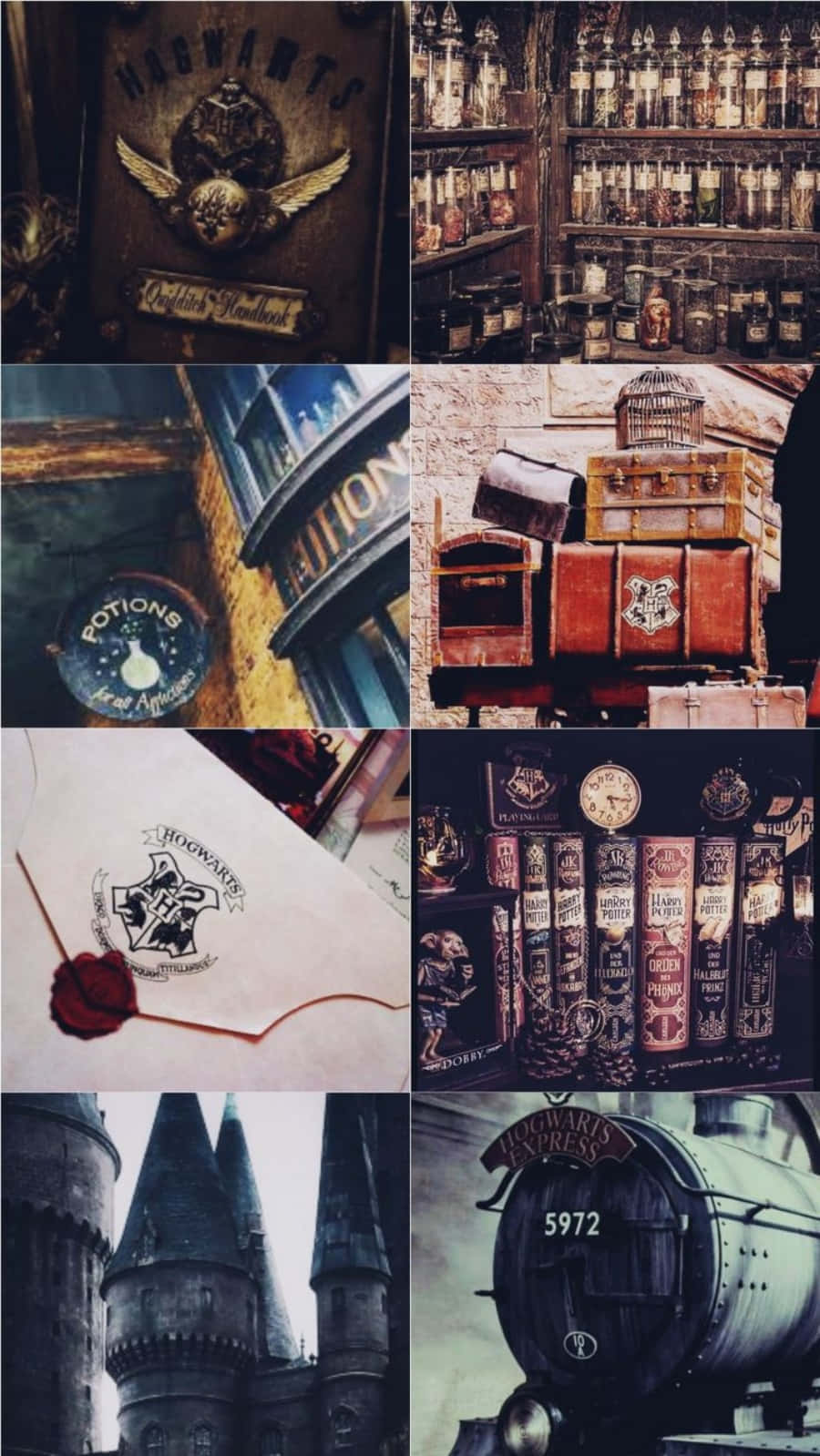 Harry Potter Anayetembea Msituni kwa Urembo Picha ya Ukuta