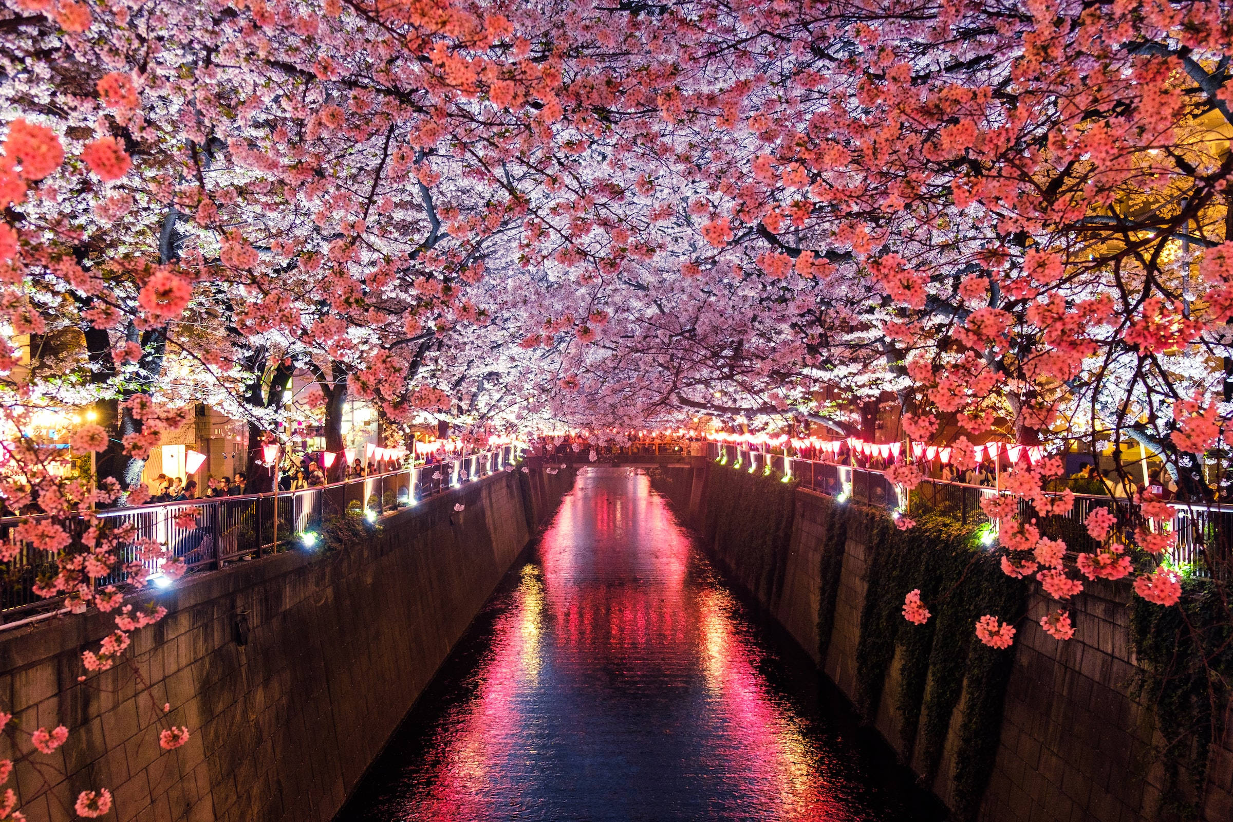 HD ya Kijapani ya Mto Meguro na Maua ya Cherry Picha ya Ukuta