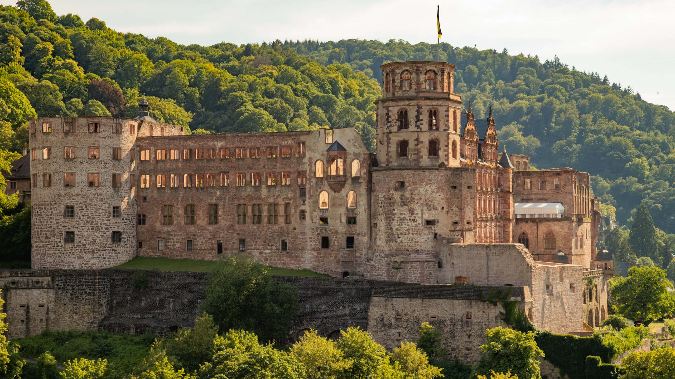 Heidelberg Castle Asubuhi Picha ya Ukuta