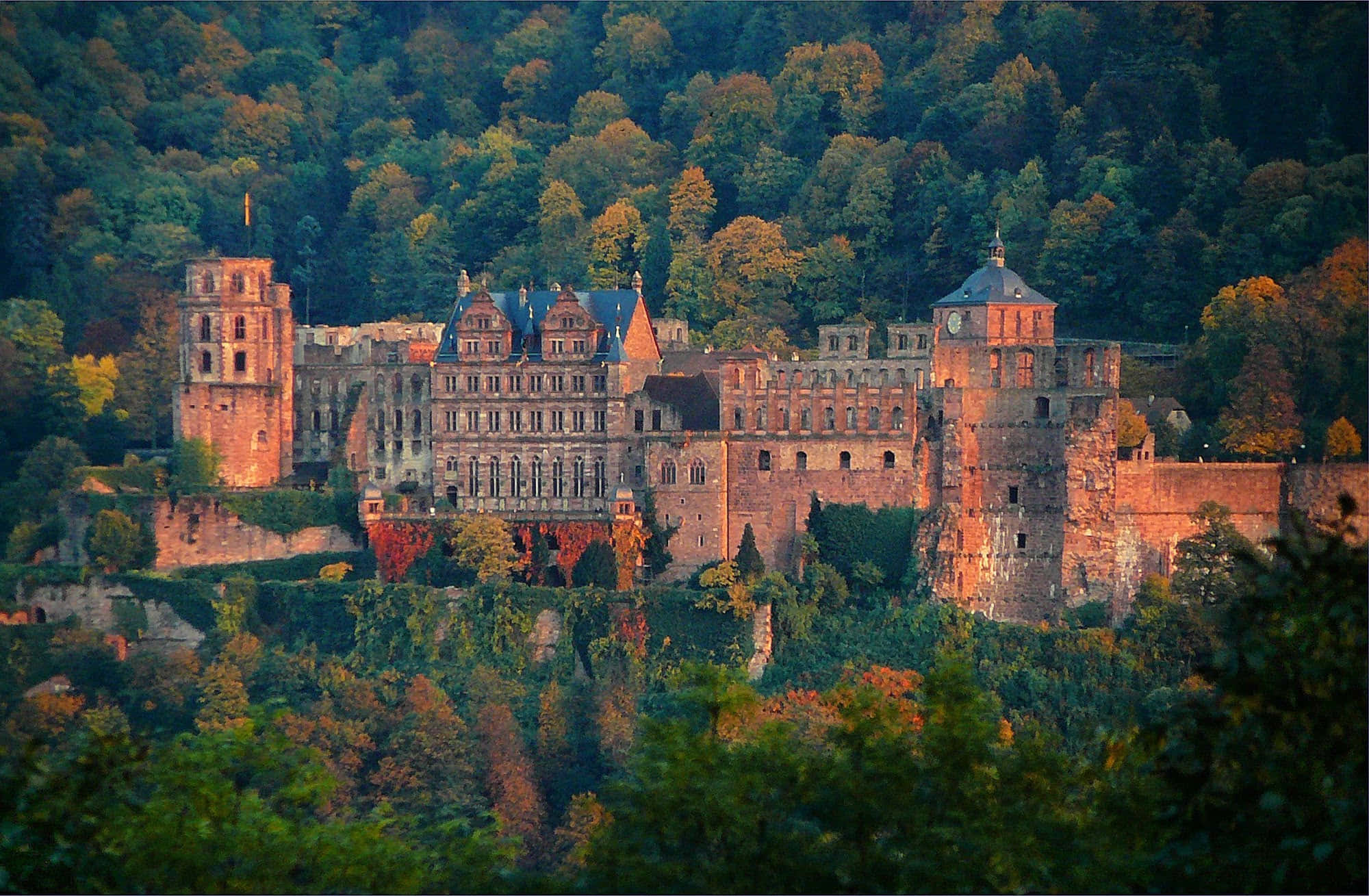 Heidelberg Castle na Miti ya Autumn Picha ya Ukuta