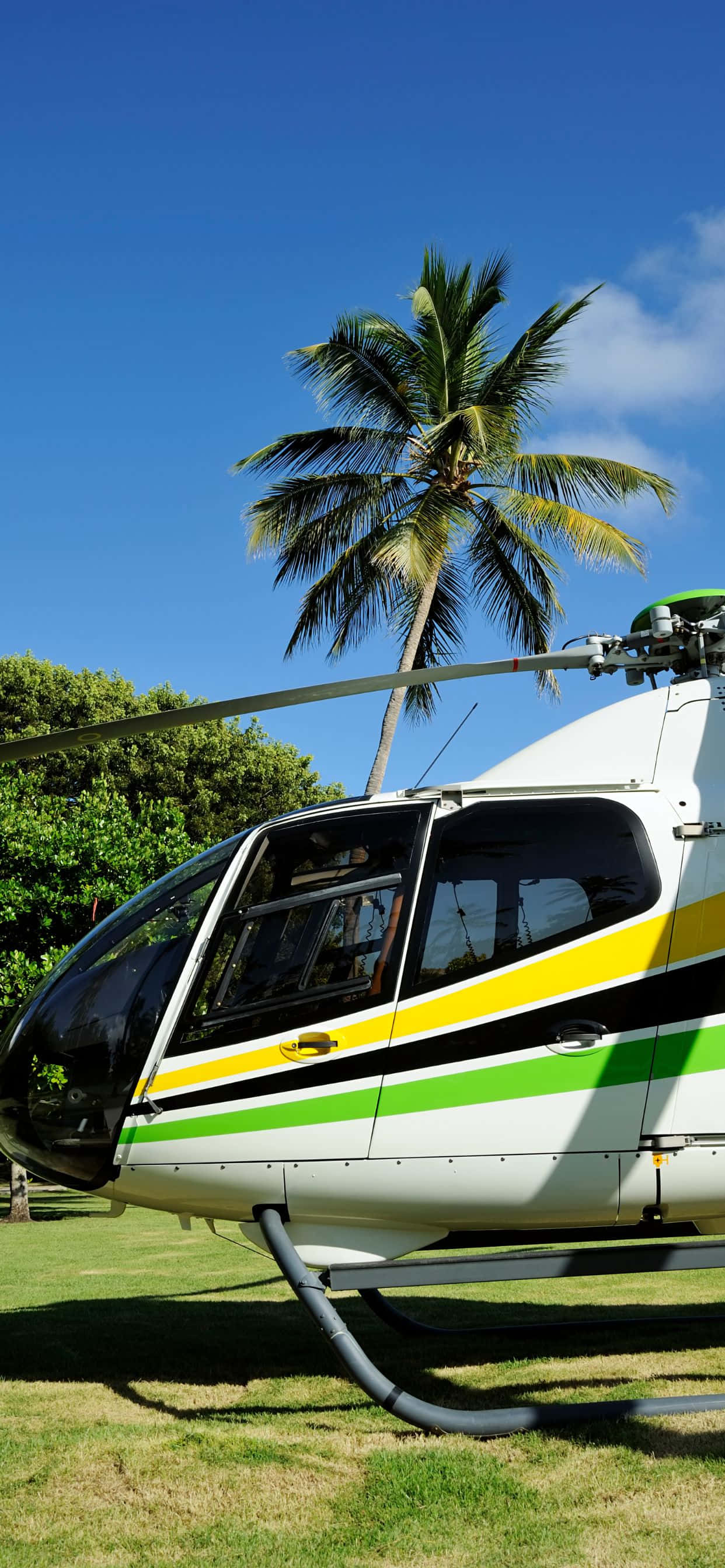 helikopta iliyopaki kwenye nyasi Picha ya Ukuta