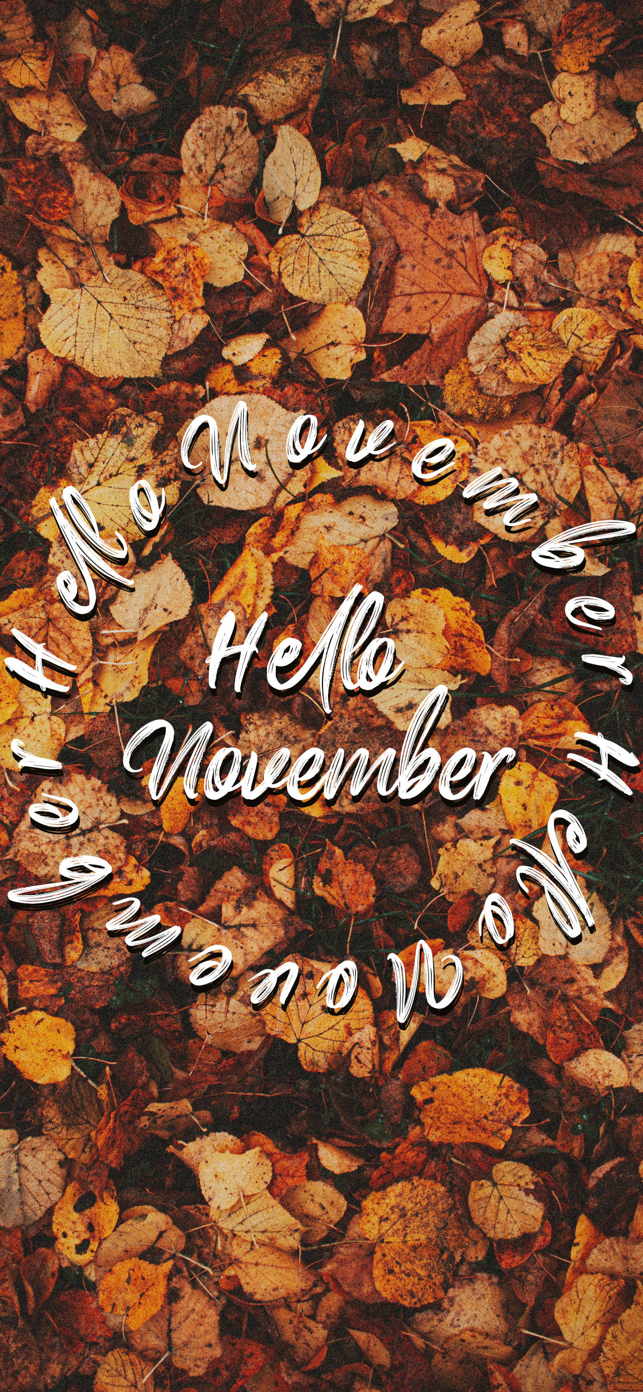 Hello Novemba Juu ya Washa za Autumn Picha ya Ukuta