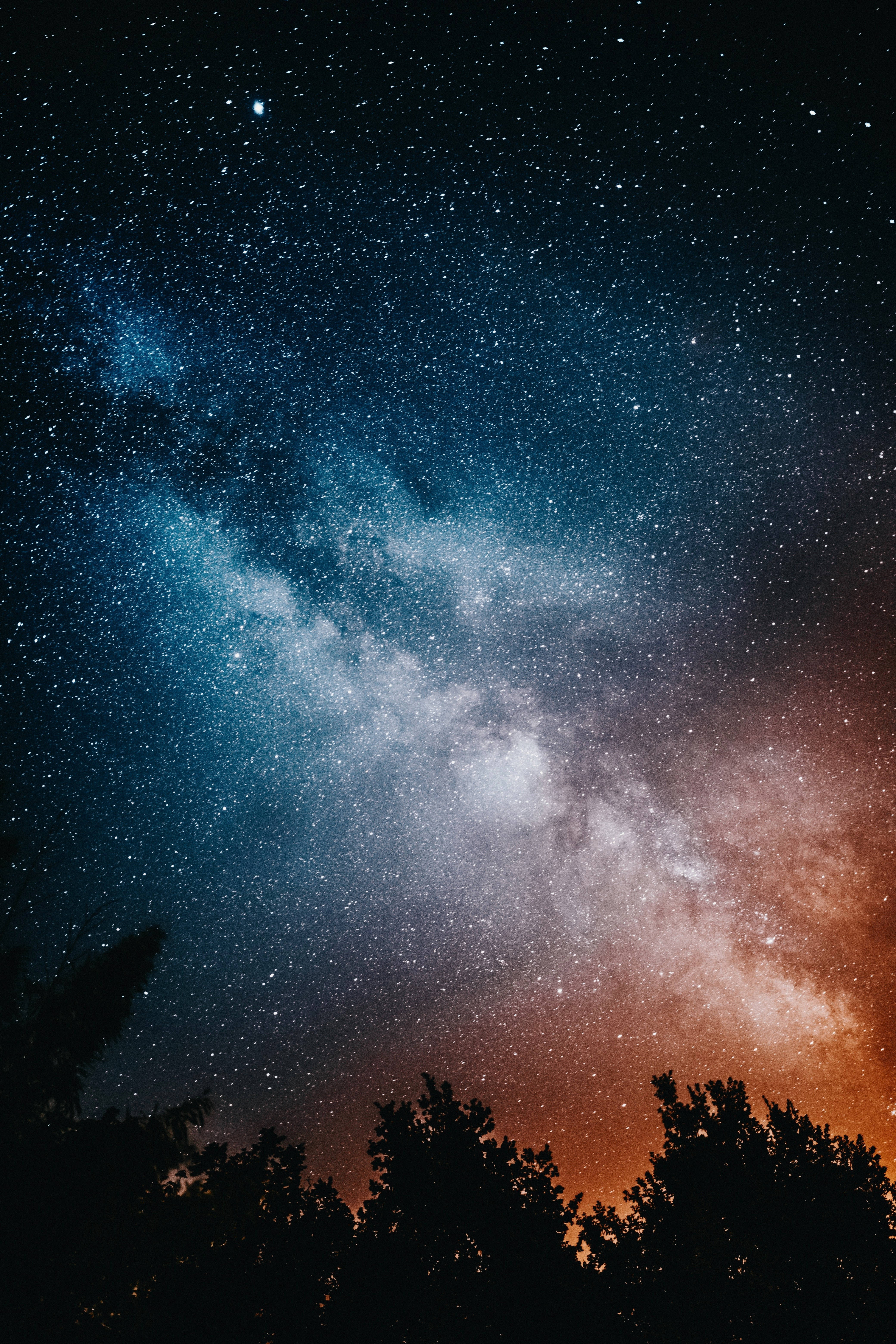 High Resolution Star And Trees Picha ya Ukuta