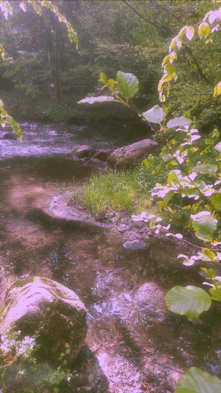 Hisia ya uchawi angani na mandhari hii nzuri ya Fairy Aesthetic! Picha ya Ukuta