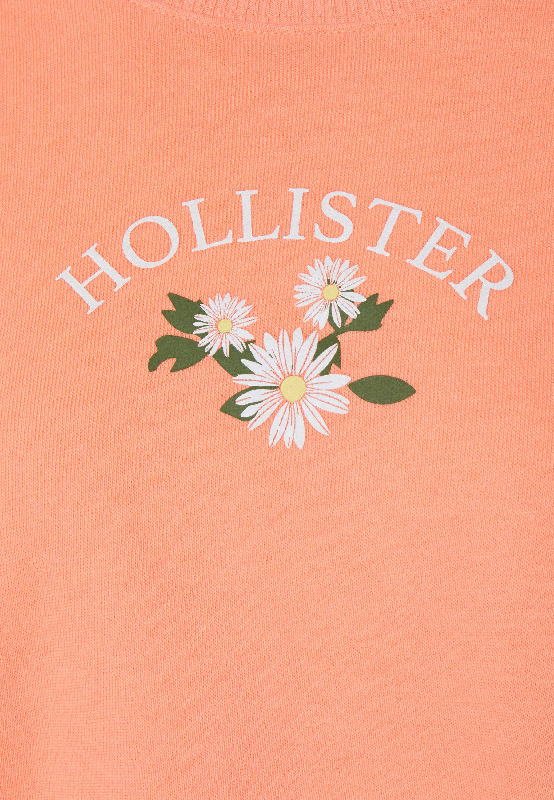 Hollister Tatu Mchoro wa Mfano wa Mfano wa Mfano Picha ya Ukuta