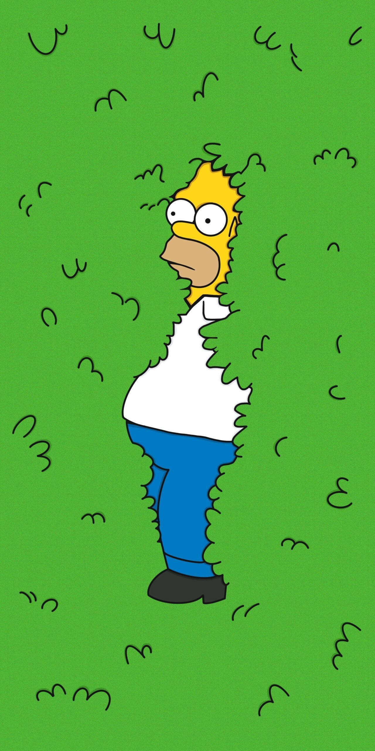 Homer Simpson Mwenye Misitu Mcheshi Picha ya Ukuta