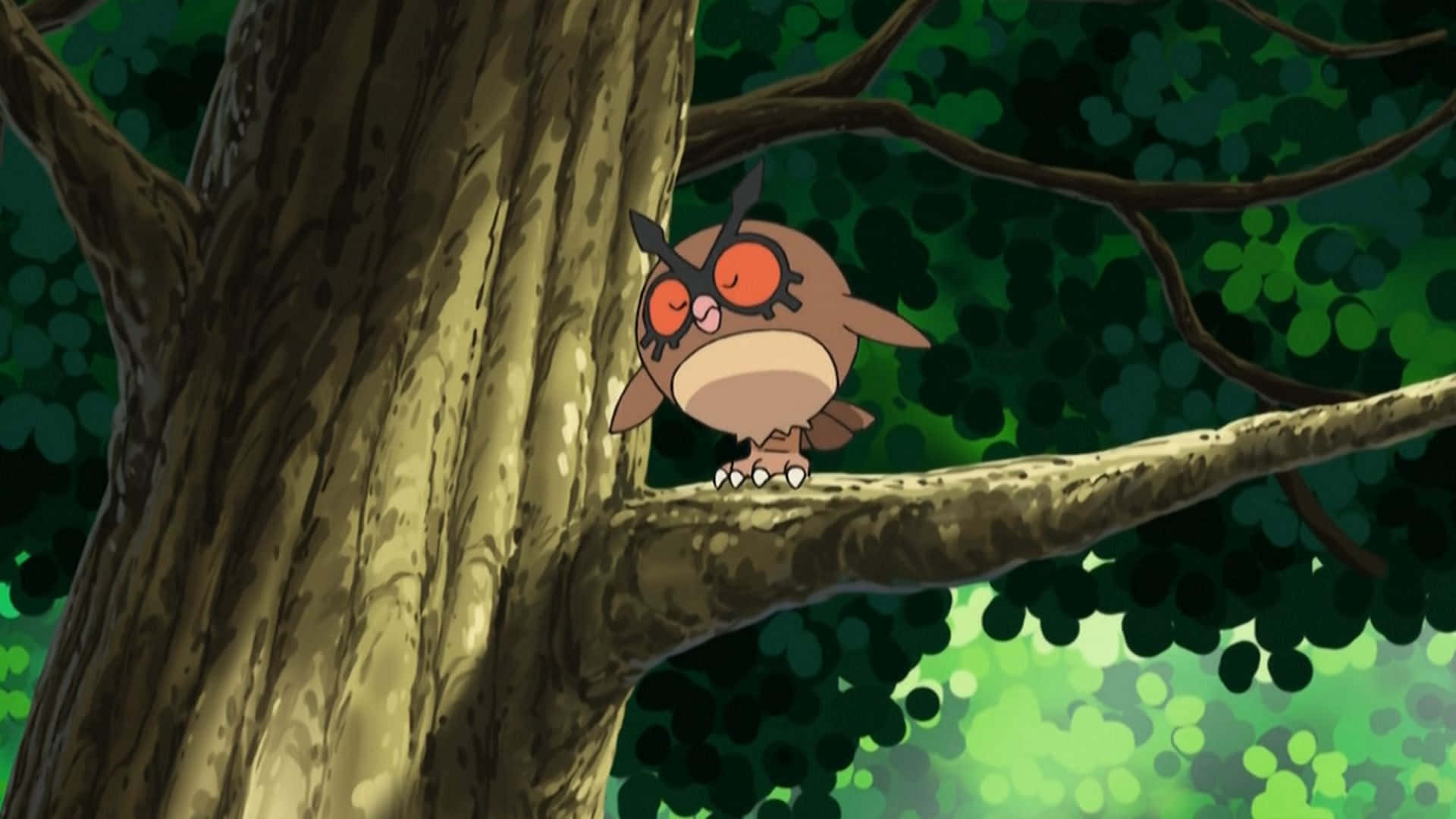 Hoothoot Amekaa Tawi la Mti Picha ya Ukuta