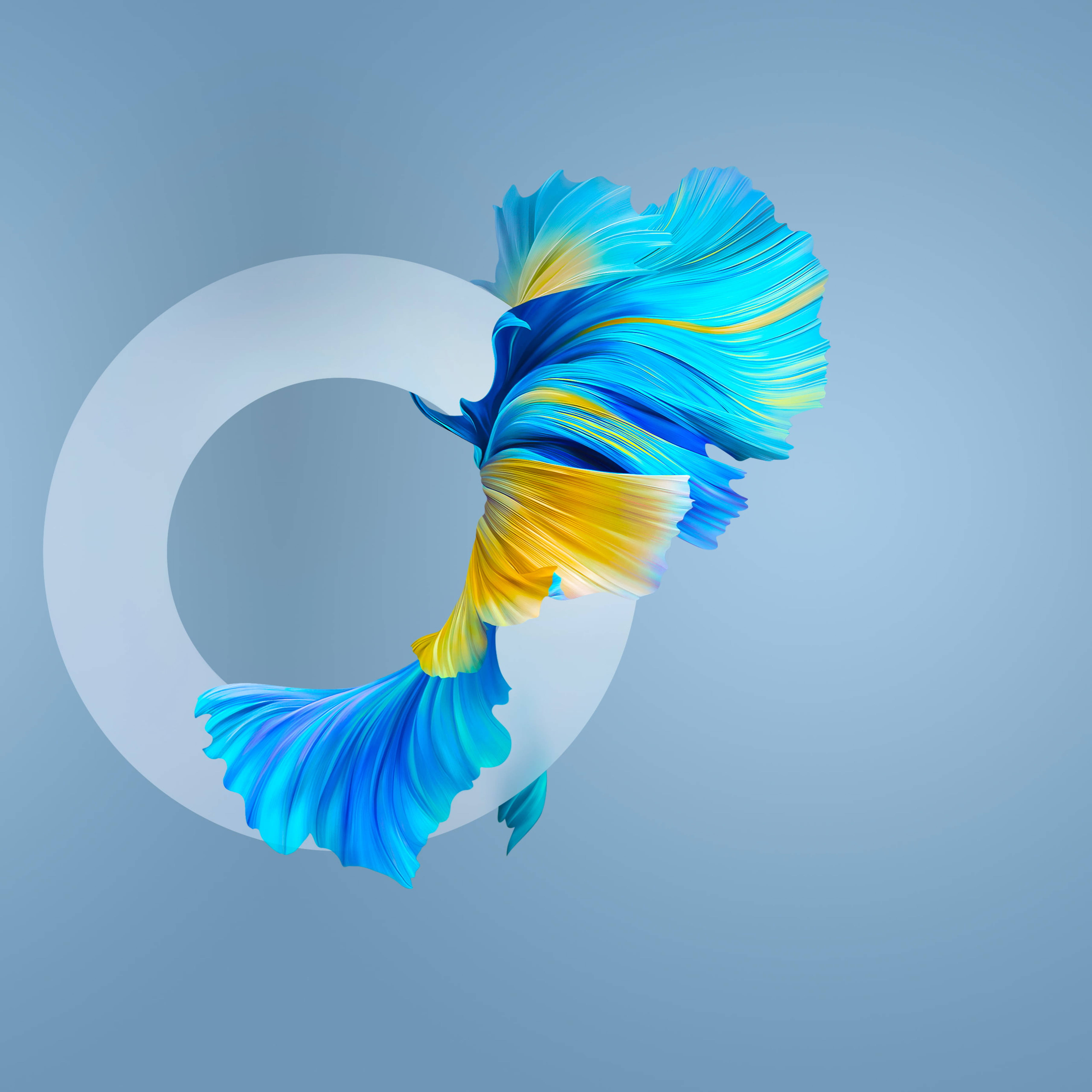 Huawei Mate 40 Pro Fish Picha ya Ukuta