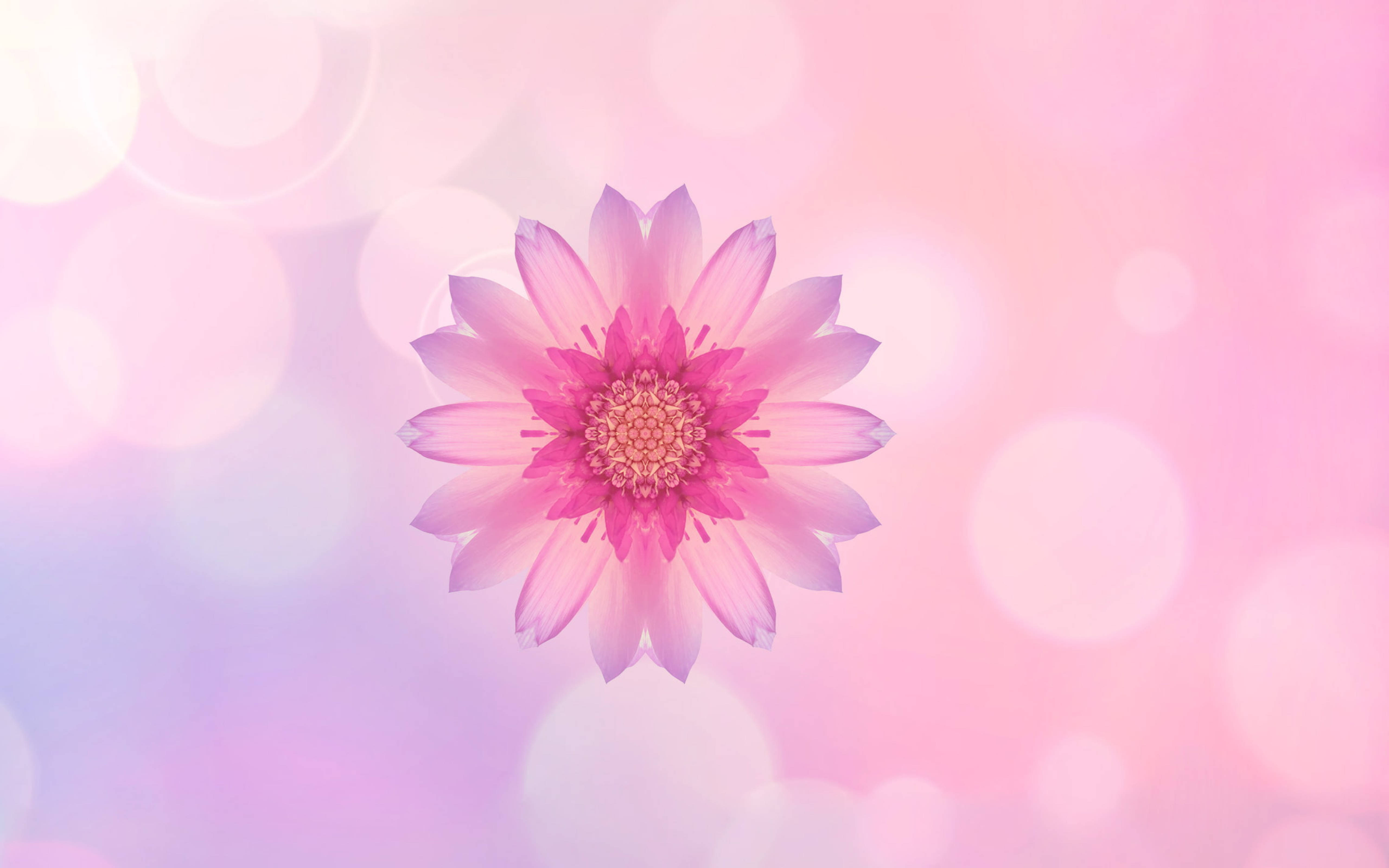 Huawei Pink Flower Picha ya Ukuta