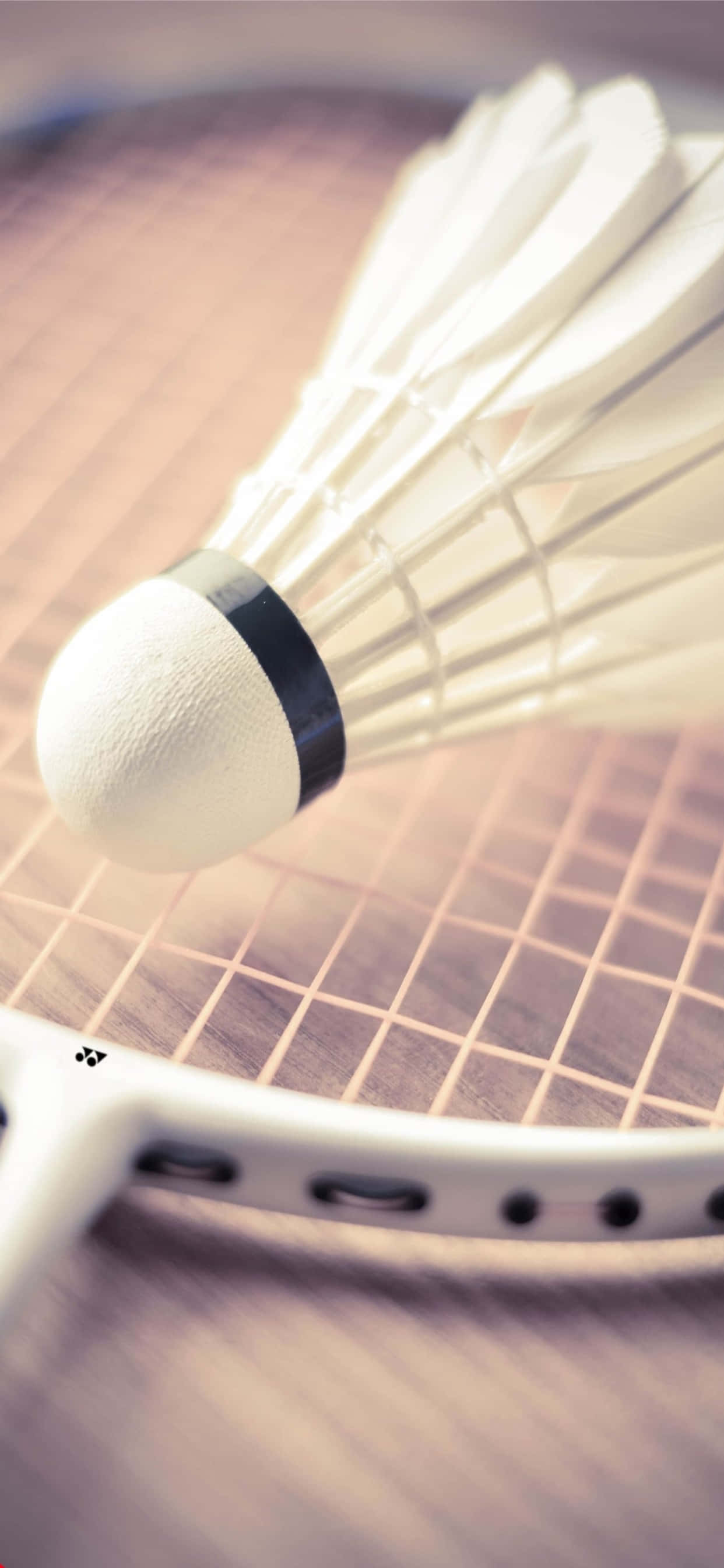 Picha: Kuwa na Mchezo wa Badminton kwenye iPhone XS Max Picha ya Ukuta