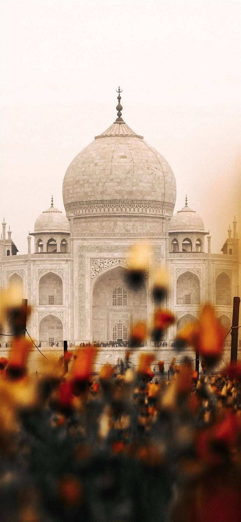Indian Aesthetic Taj Mahal Flowers Picha ya Ukuta
