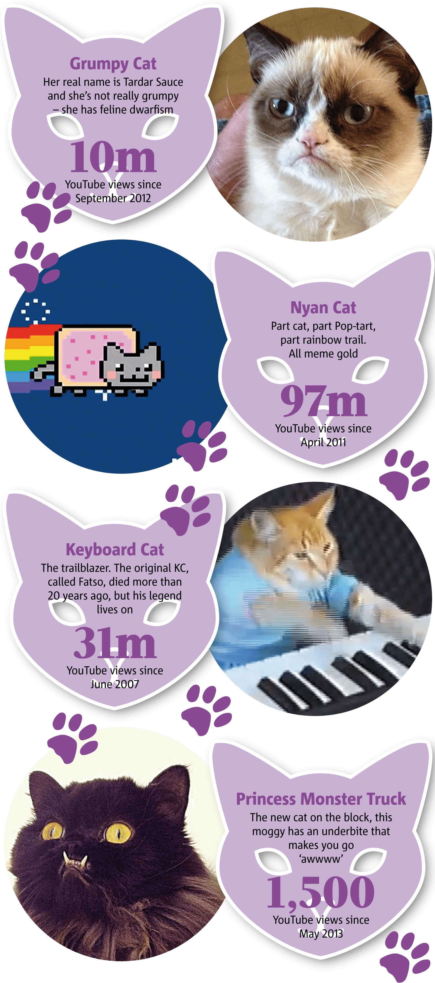 Infografiki ya Meme za Paka Maarufu wa Mtandaoni Picha ya Ukuta