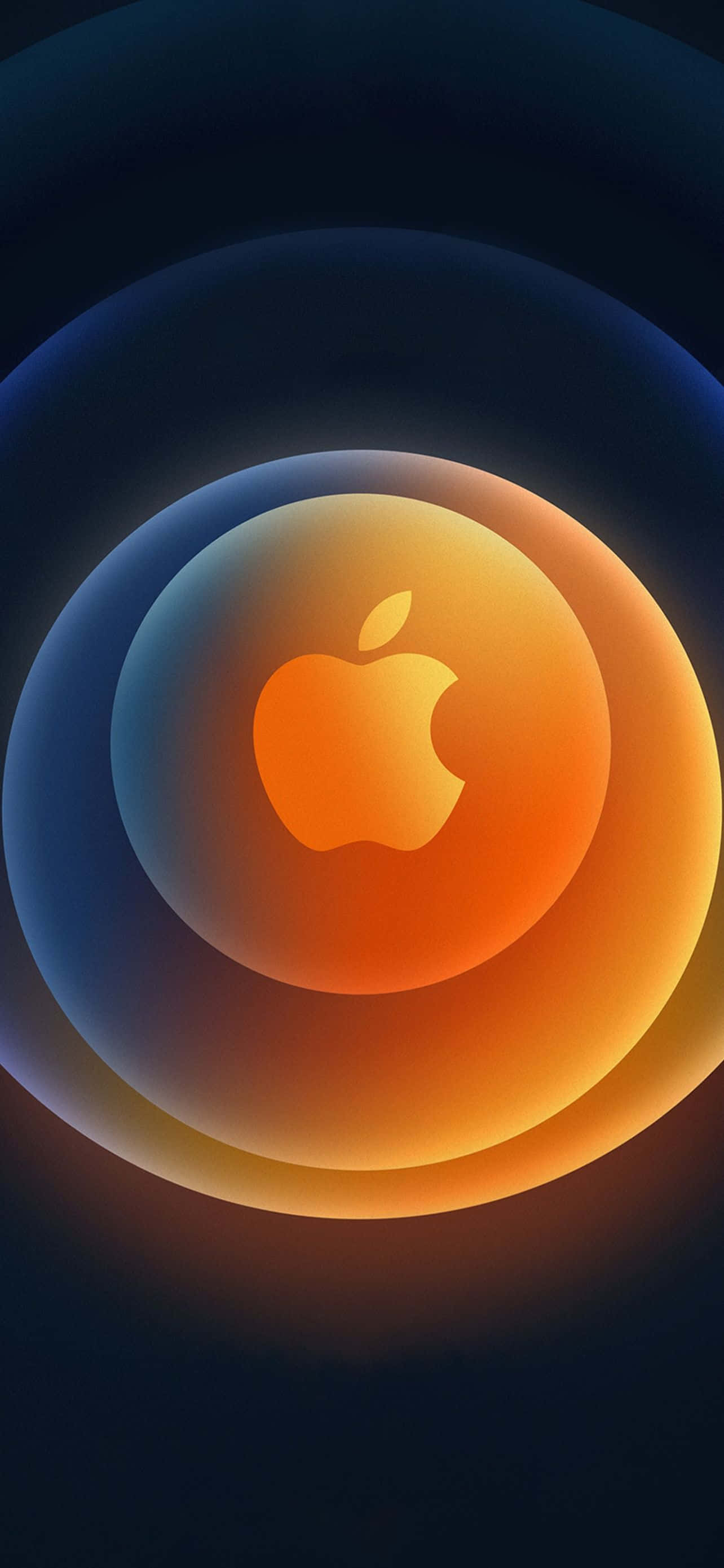 iPhone 12 Pro Max nyuma Picha ya Ukuta