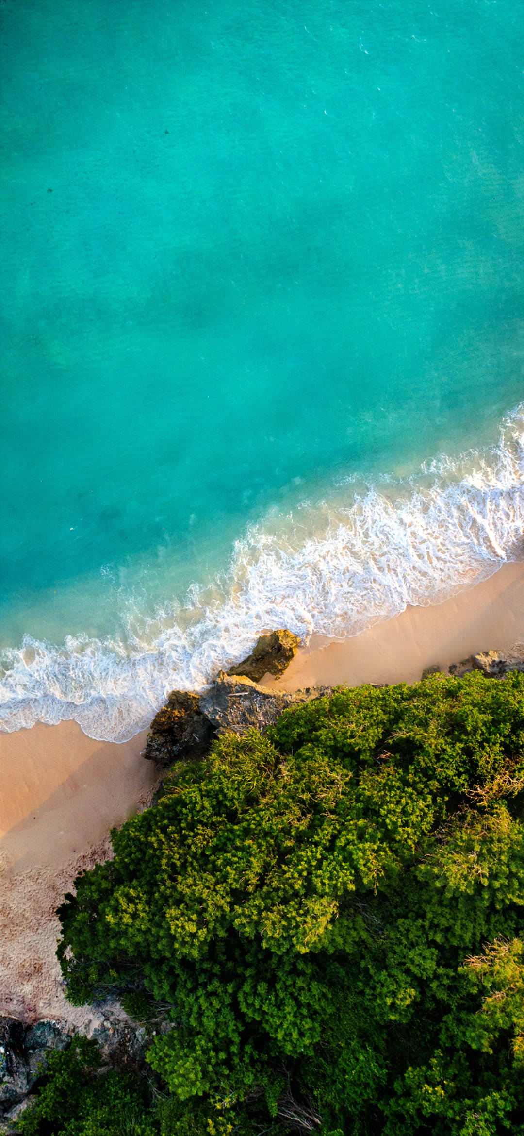 iPhone 7 Beach And Trees Picha ya Ukuta