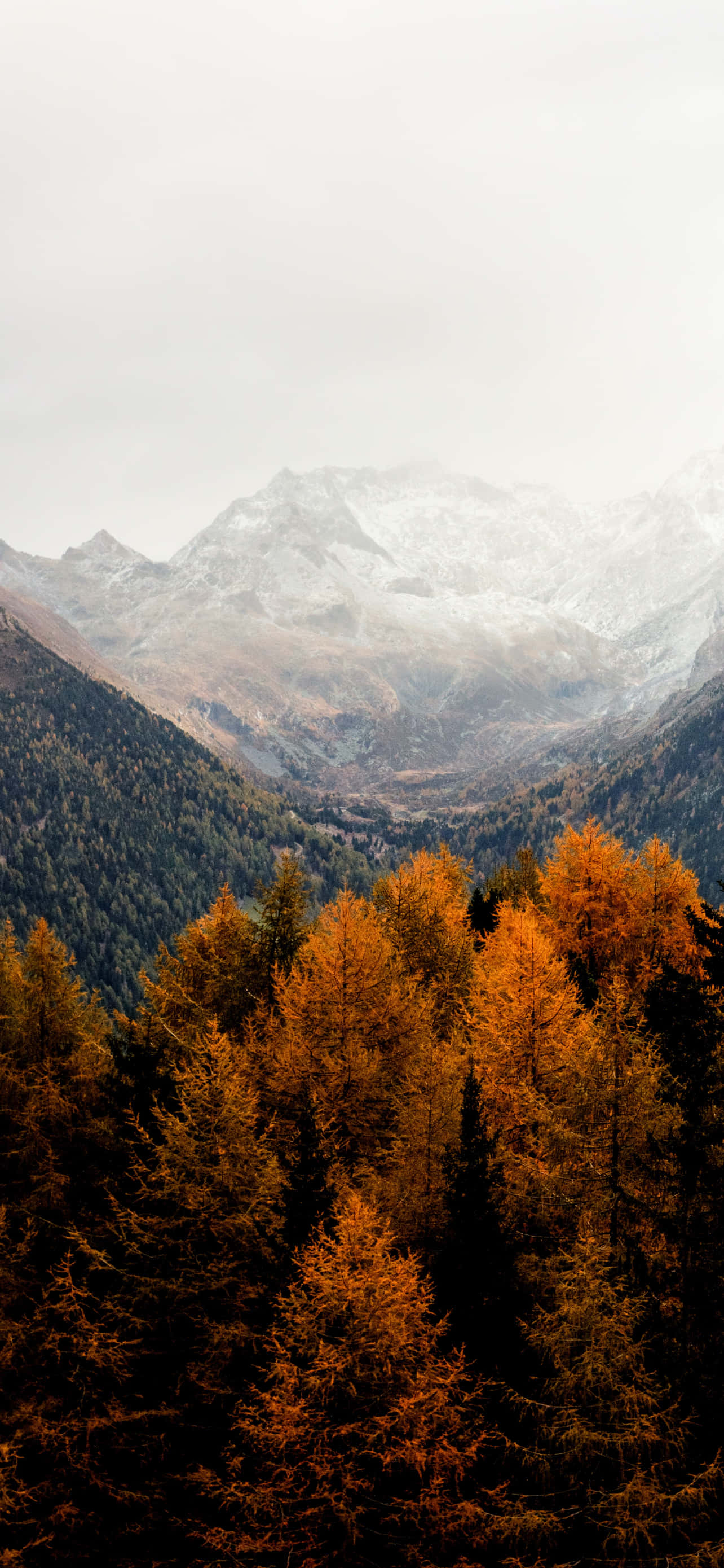 iPhone Fall Aesthetic Orange Trees Mountains Picha ya Ukuta