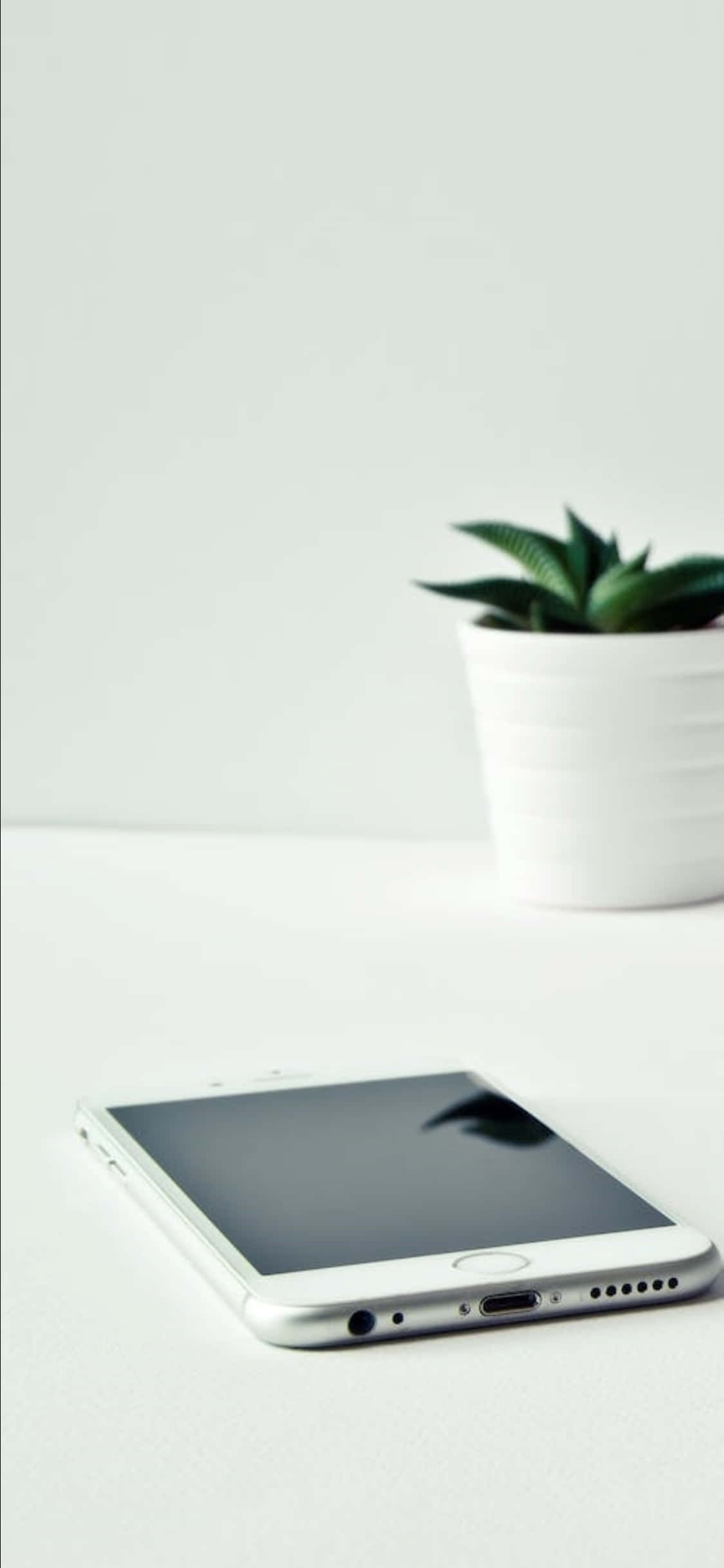 iPhone X Desk Background White Phone And A Plant Picha ya Ukuta