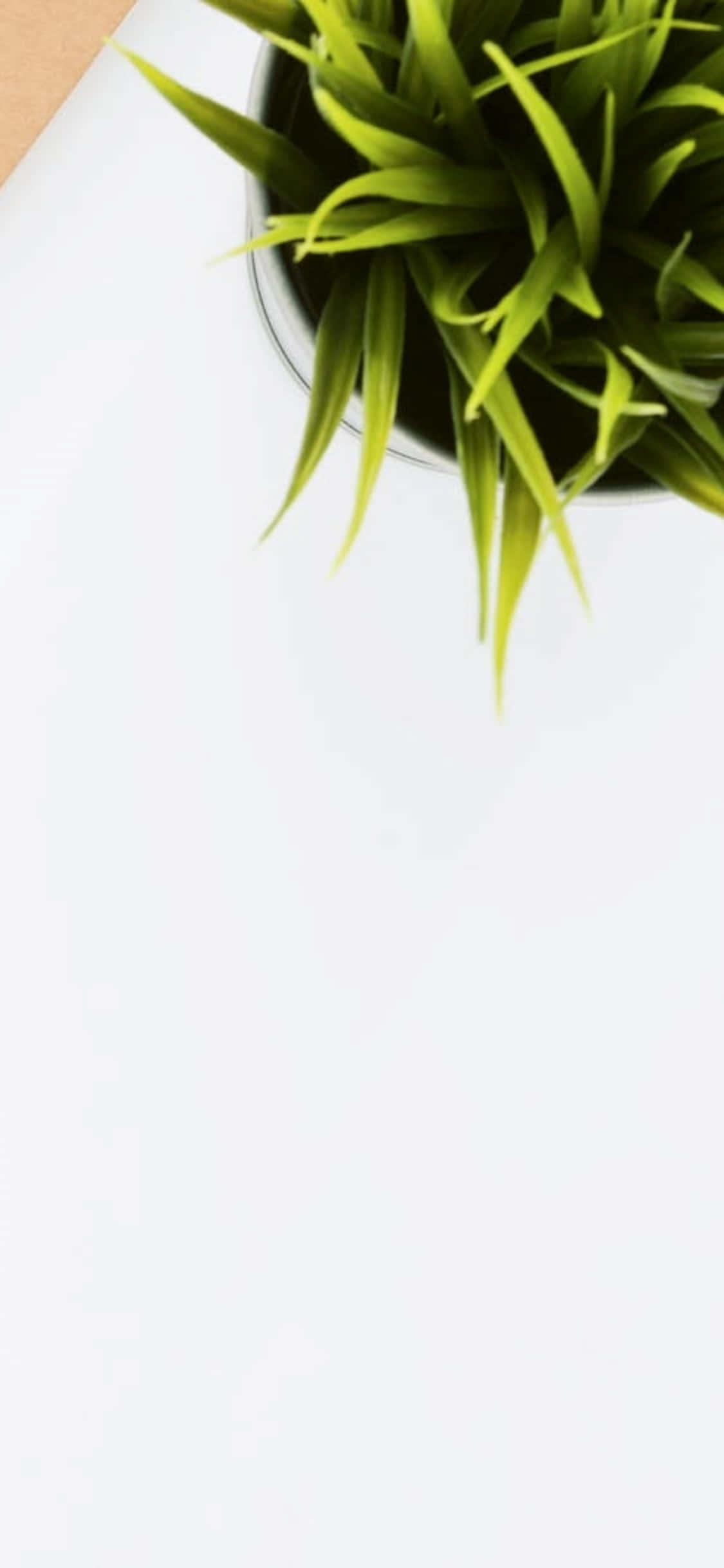 iPhone X Desk Background Indoor Plant Picha ya Ukuta