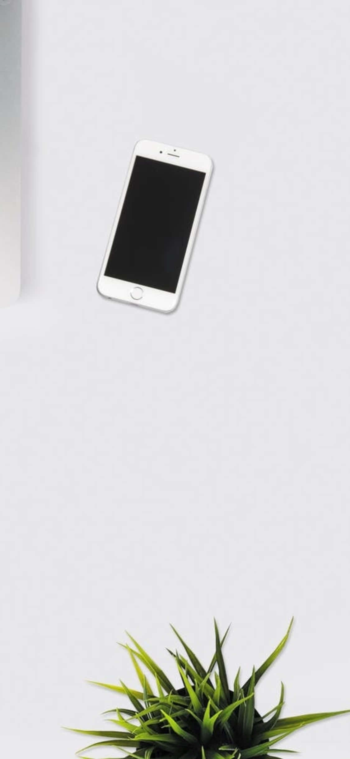 iPhone X Desk Background White Phone With An Indoor Plant Picha ya Ukuta