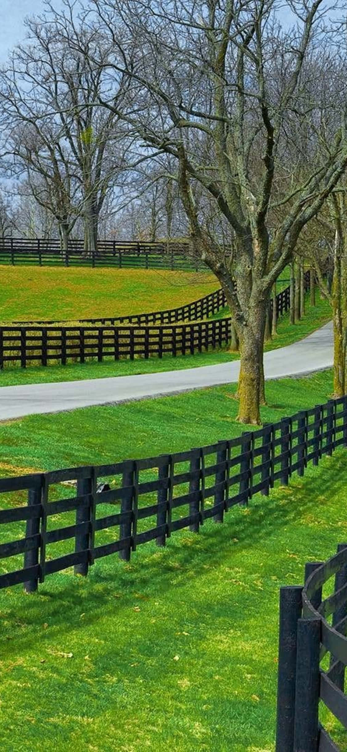 iPhone Xs Desktop Pc Farm Fence Background Picha ya Ukuta