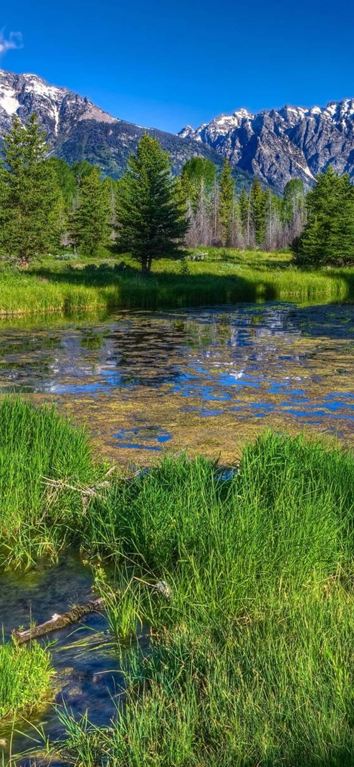 iPhone Xs Desktop Pc Nature Background Picha ya Ukuta