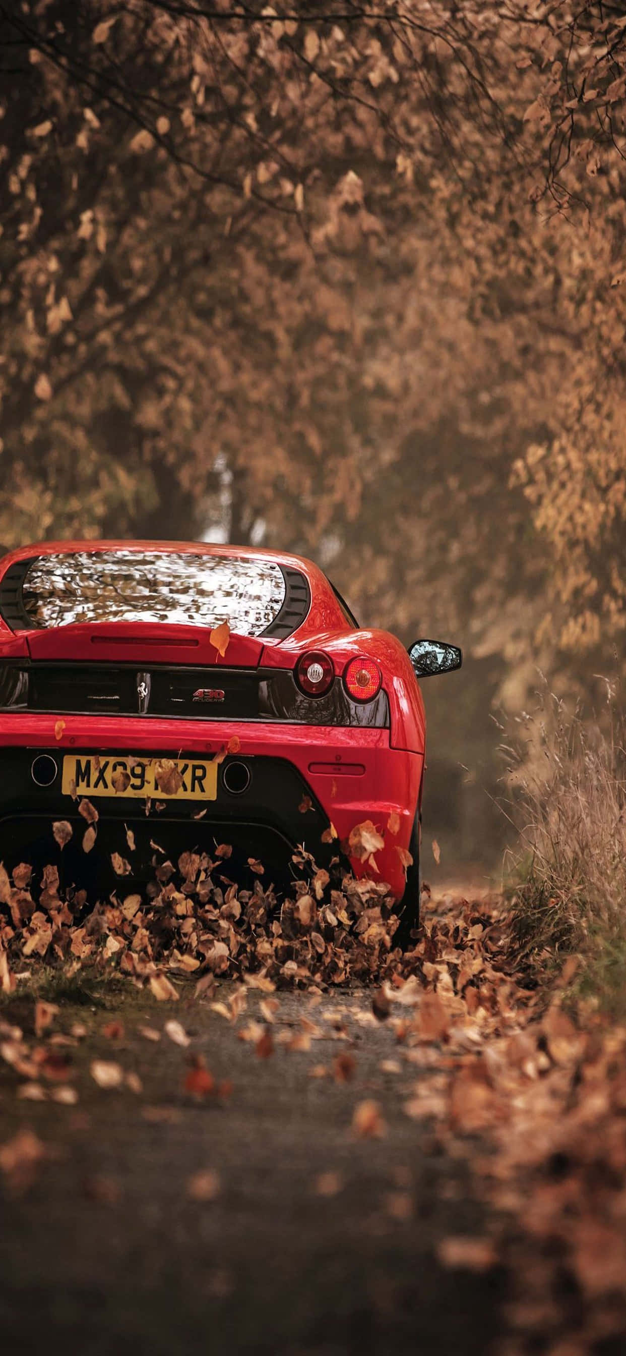 iPhone Xs Max Ferrari Background Red Ferrari F430 Dried Leaves Picha ya Ukuta