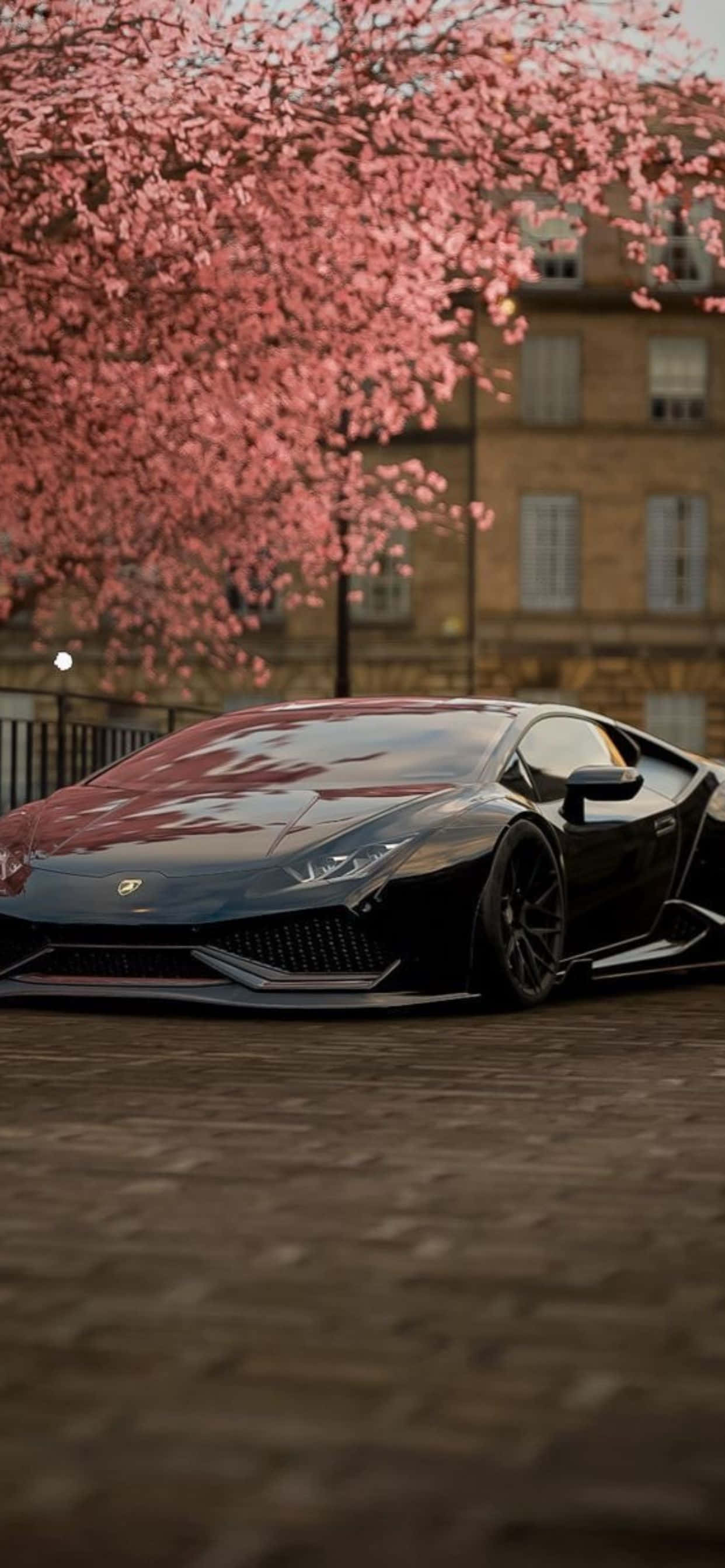 iPhone XS Max Lamborghini Cherry Blossom Background Picha ya Ukuta