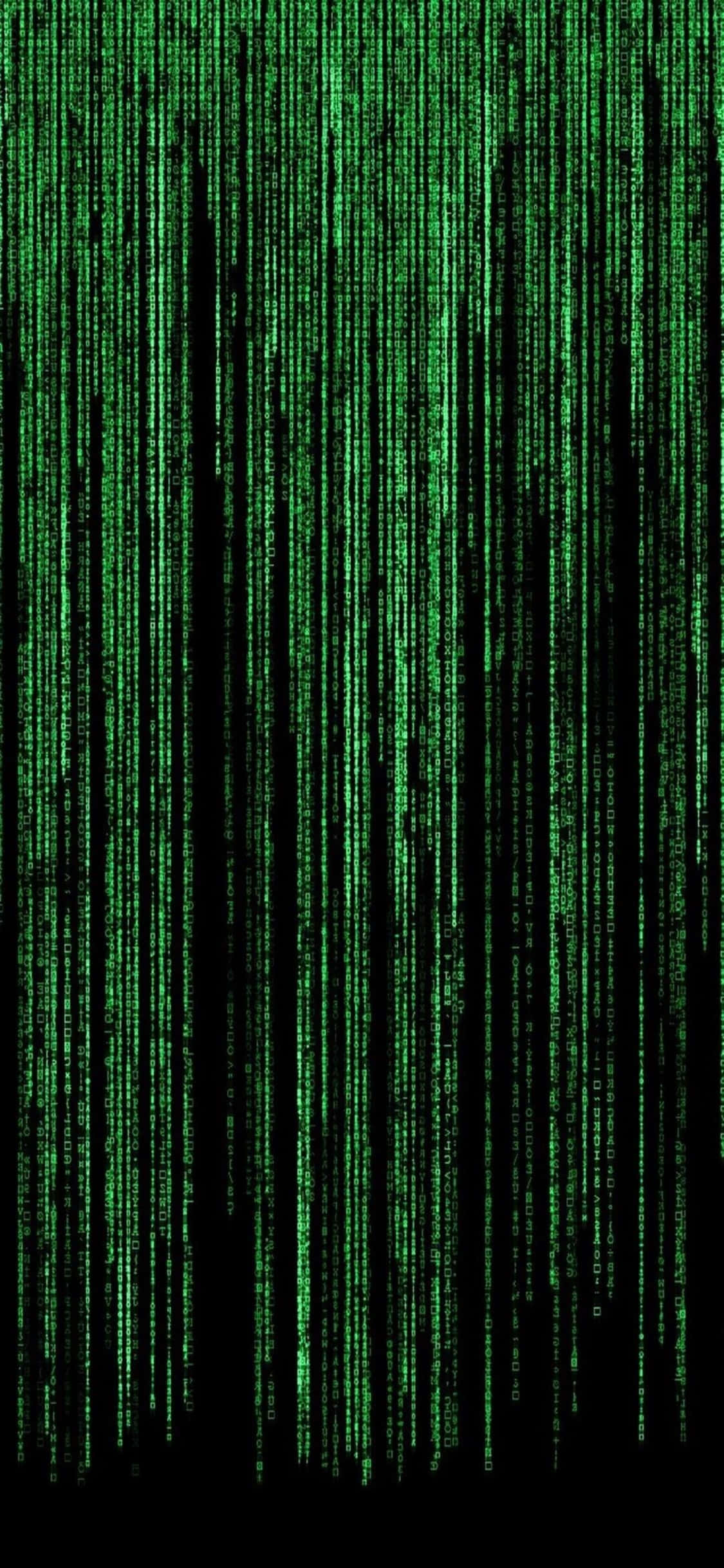 iPhone Xs Programming Background Green Matrix Picha ya Ukuta