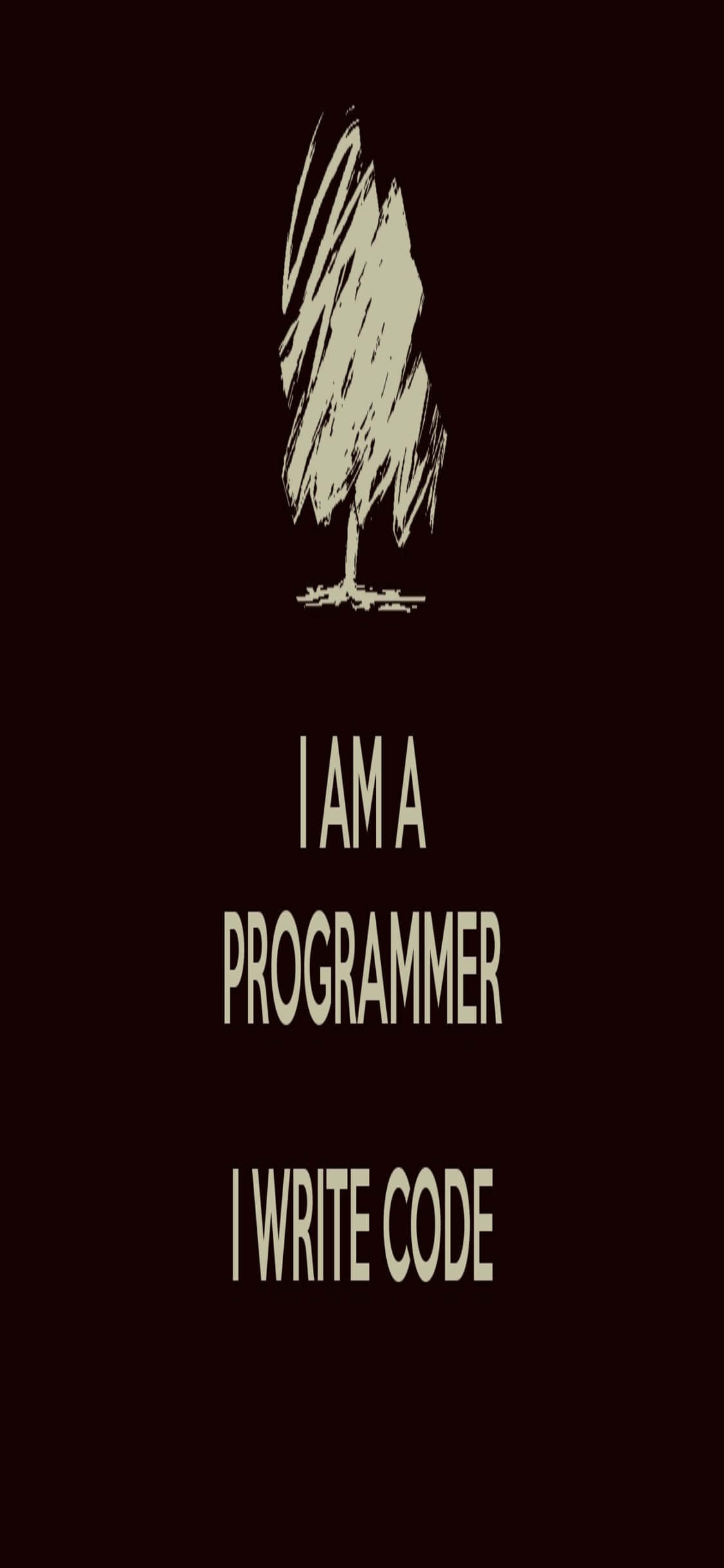 iPhone Xs Programming Background Programmer Quote Picha ya Ukuta