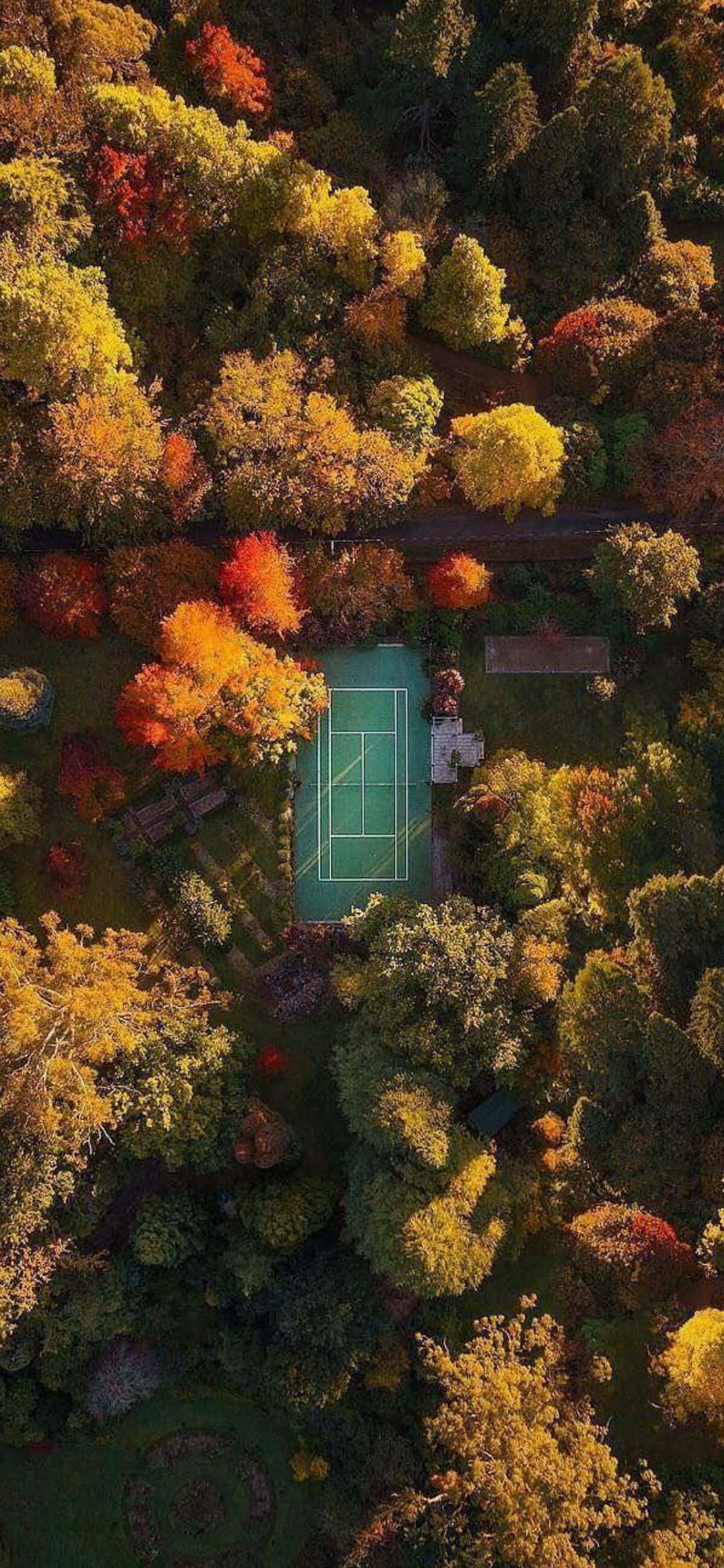iPhone Xs Tennis Mandhari Picha ya Ukuta