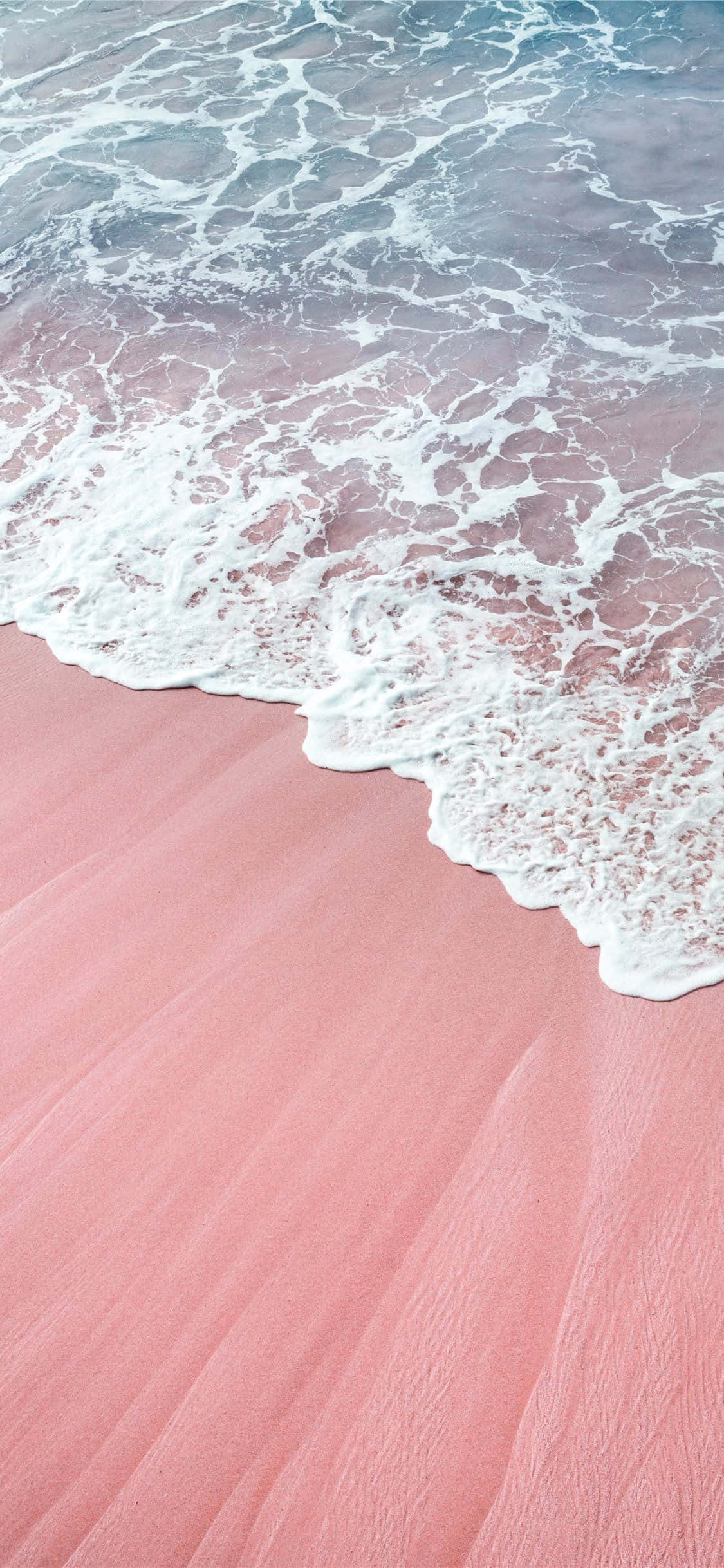 iPhone ya Rangi ya Pink Aesthetic na Mwisho wa Miti ya Rangi Picha ya Ukuta