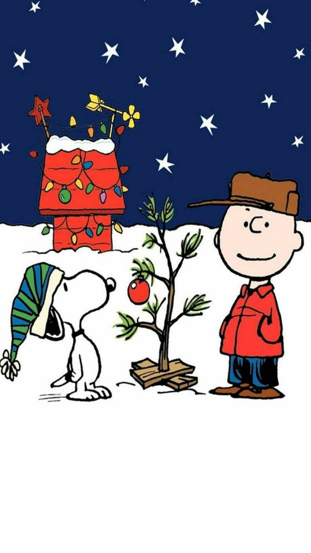 Jioni ya Krismasi ya Snoopy Picha ya Ukuta