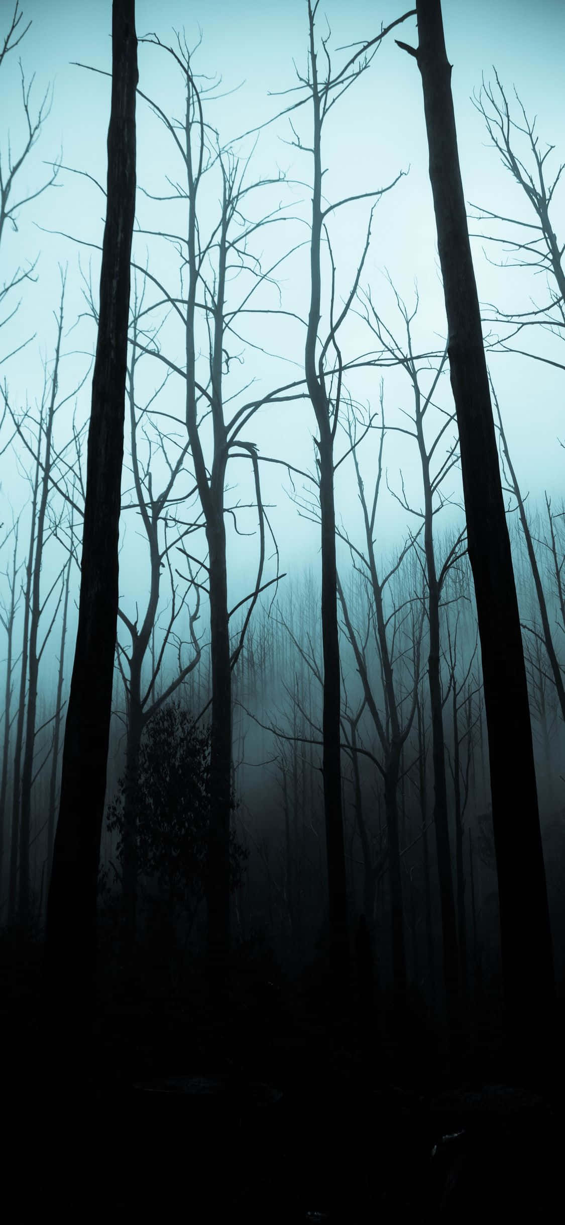 Jisimisha roho ya spooky na hii wallpaper ya iPhone ya kusoma Picha ya Ukuta